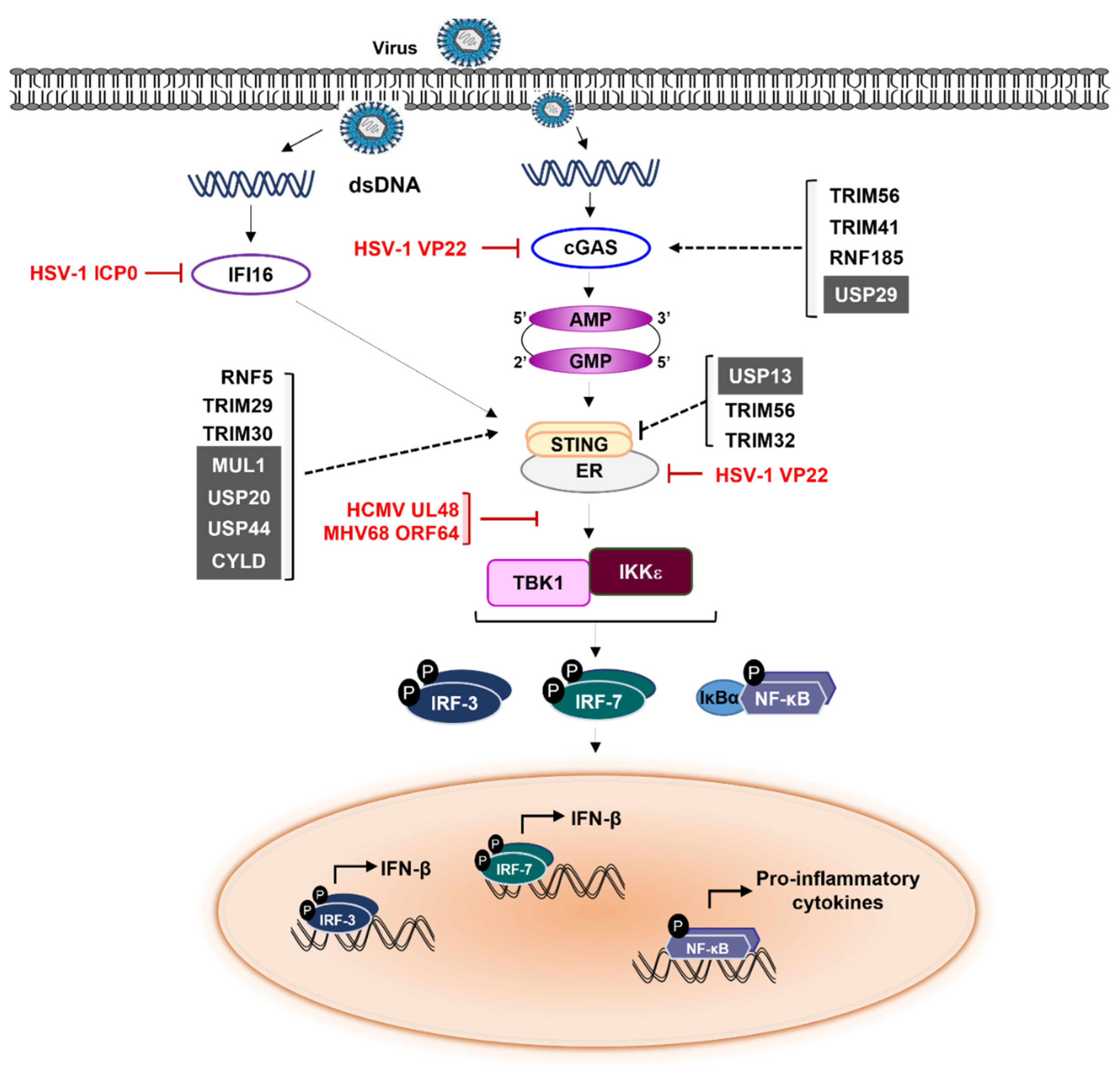 Ijms 23 00492 g002 550