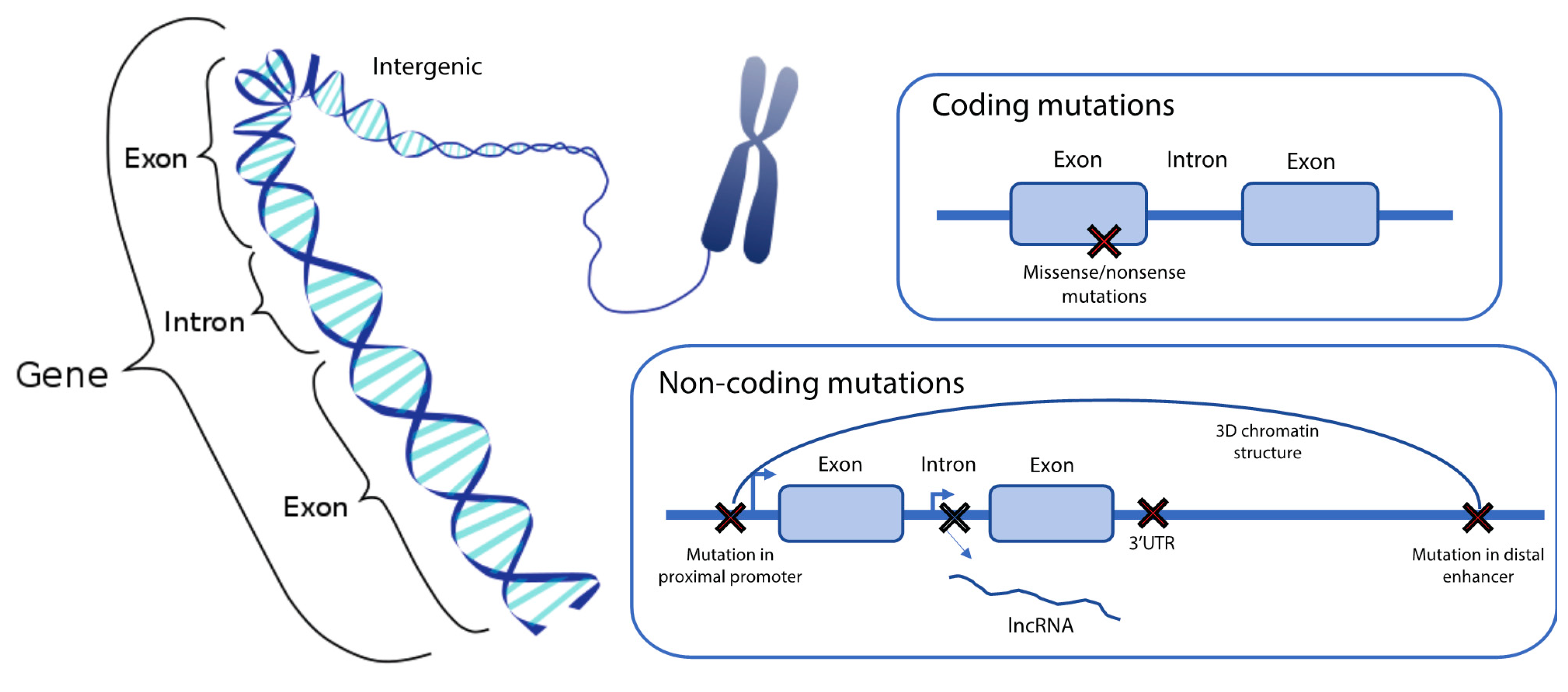 Ijms 23 00501 g003 Ijms 23 00501 g003