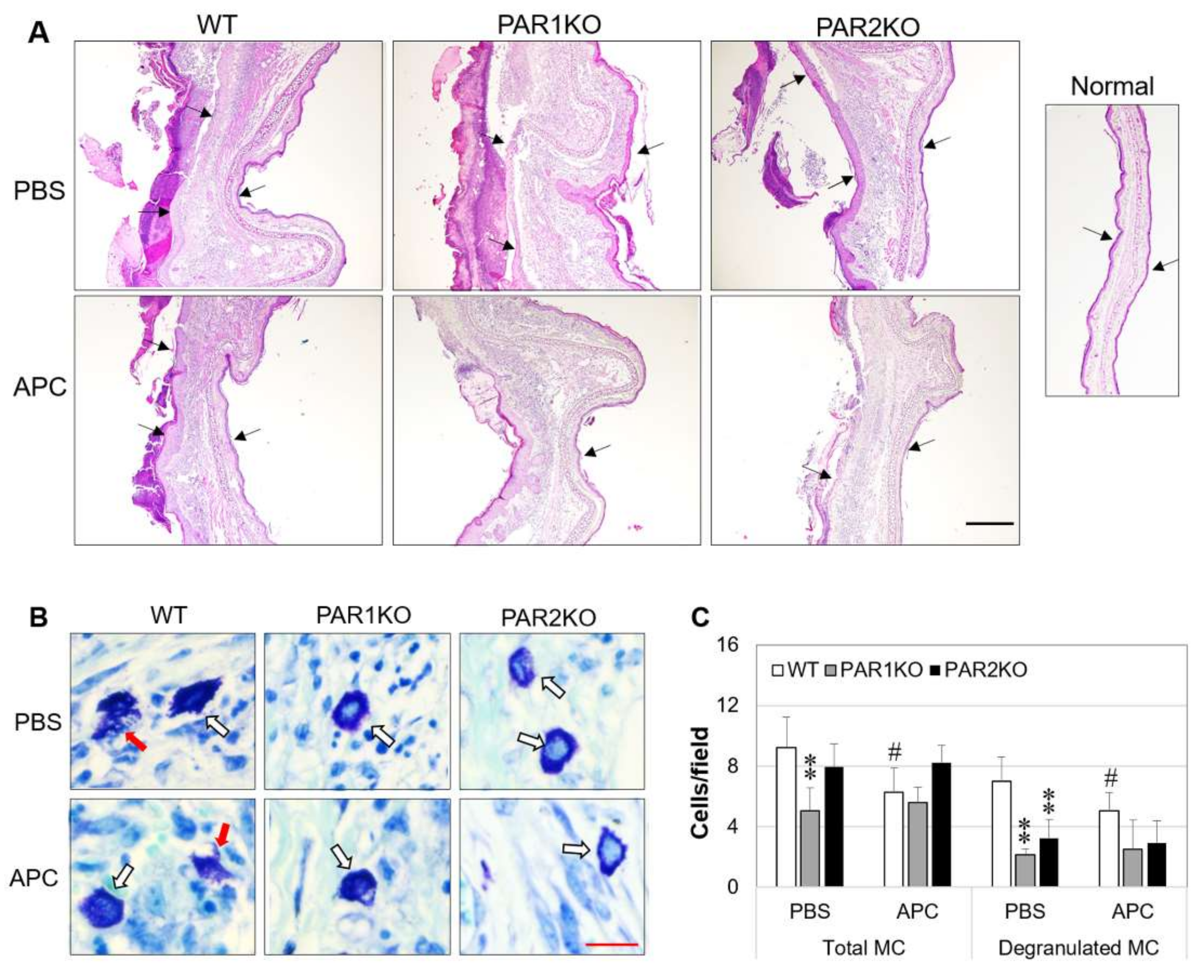 Ijms 23 00516 g002 Ijms 23 00516 g002
