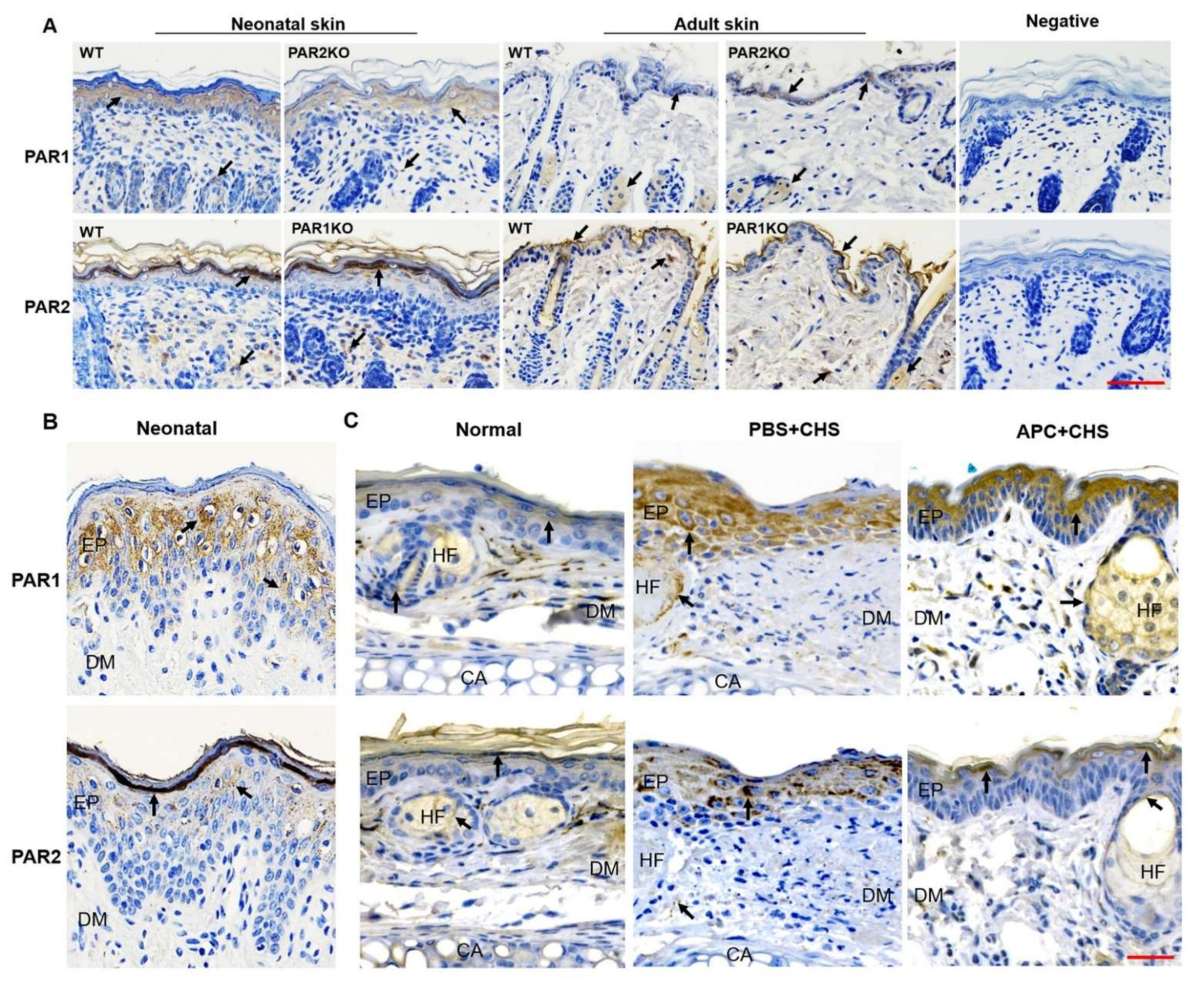 Ijms 23 00516 g005 Ijms 23 00516 g005