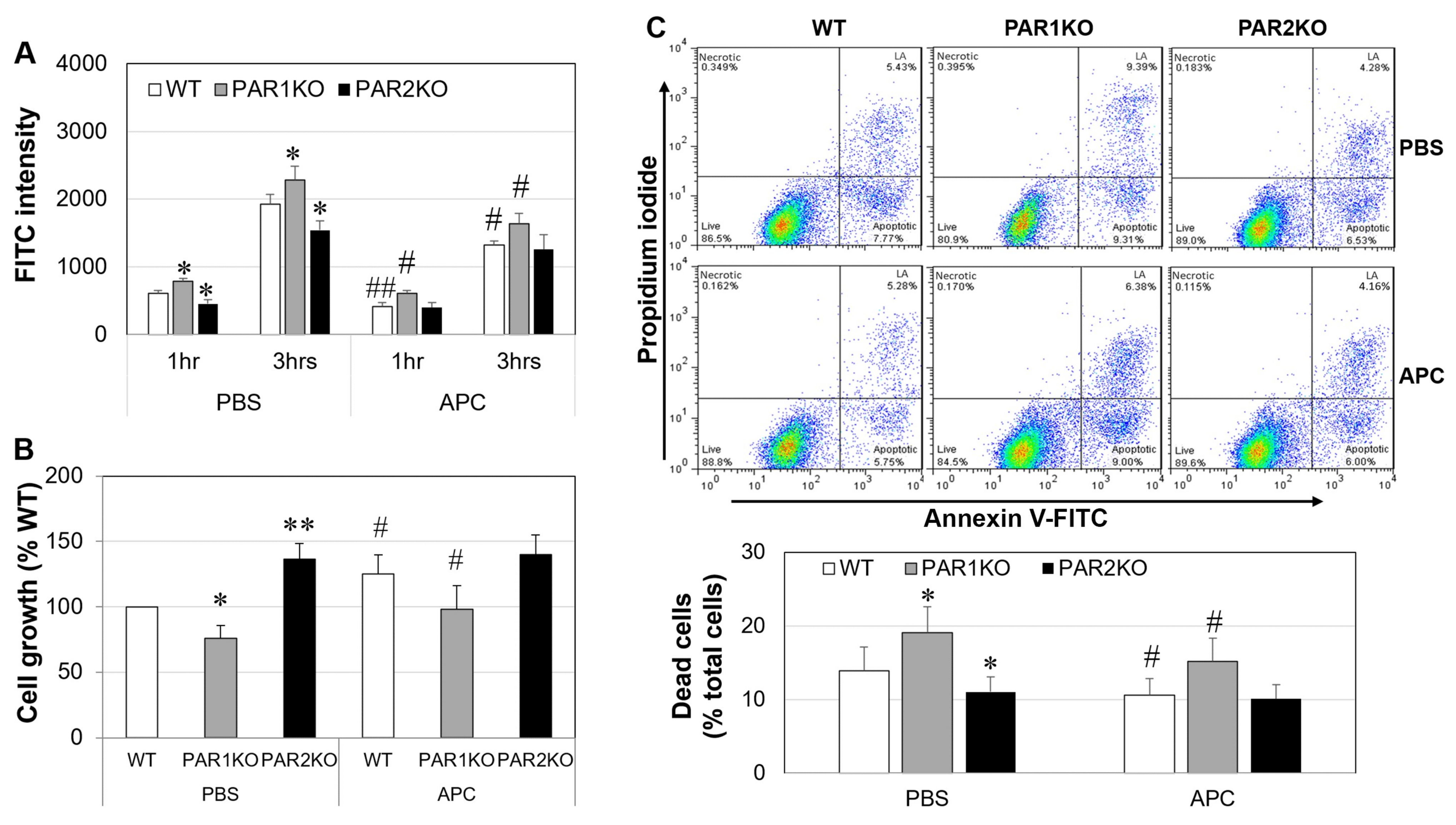 Ijms 23 00516 g006 Ijms 23 00516 g006