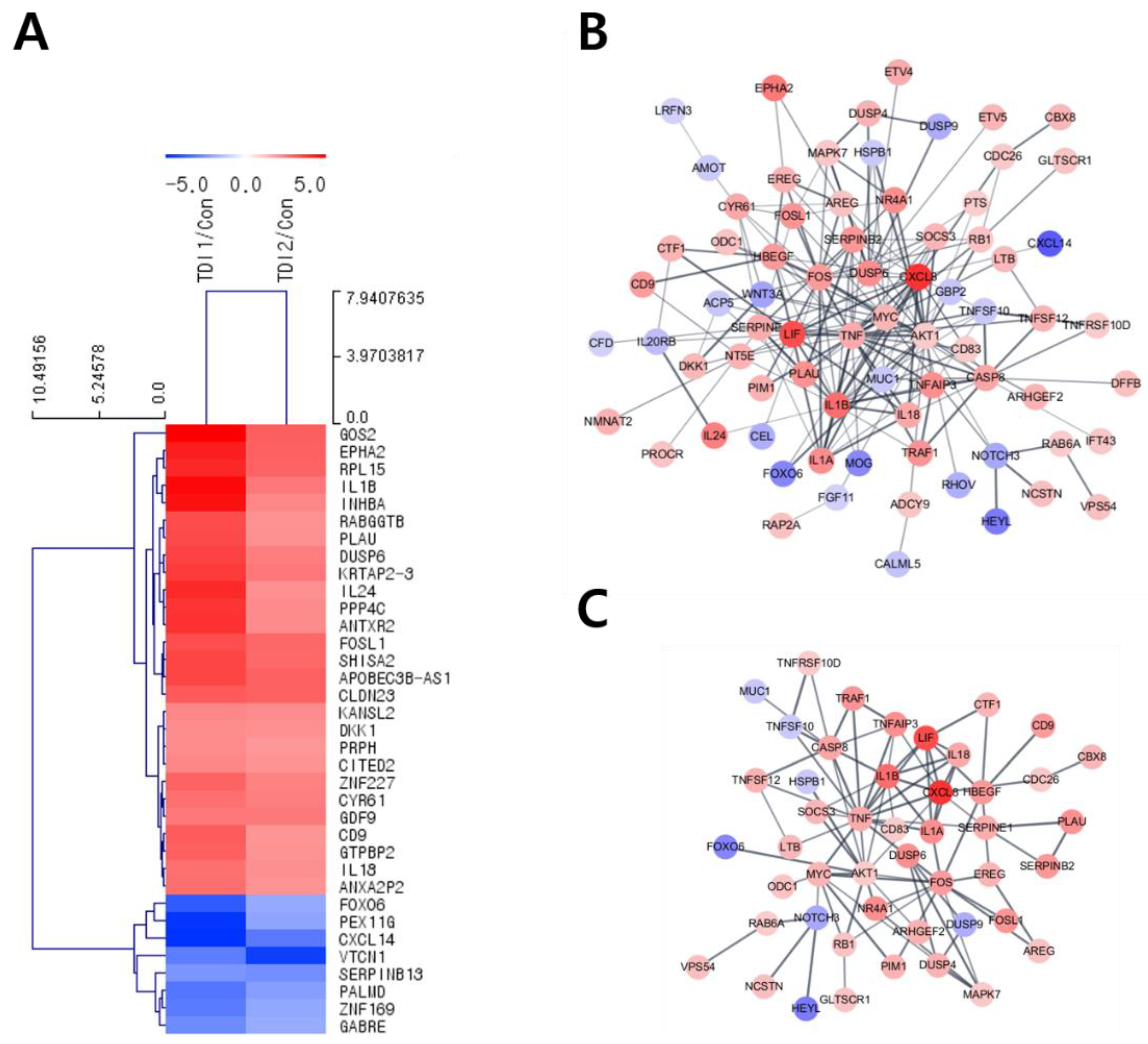 Ijms 23 00517 g002 Ijms 23 00517 g002