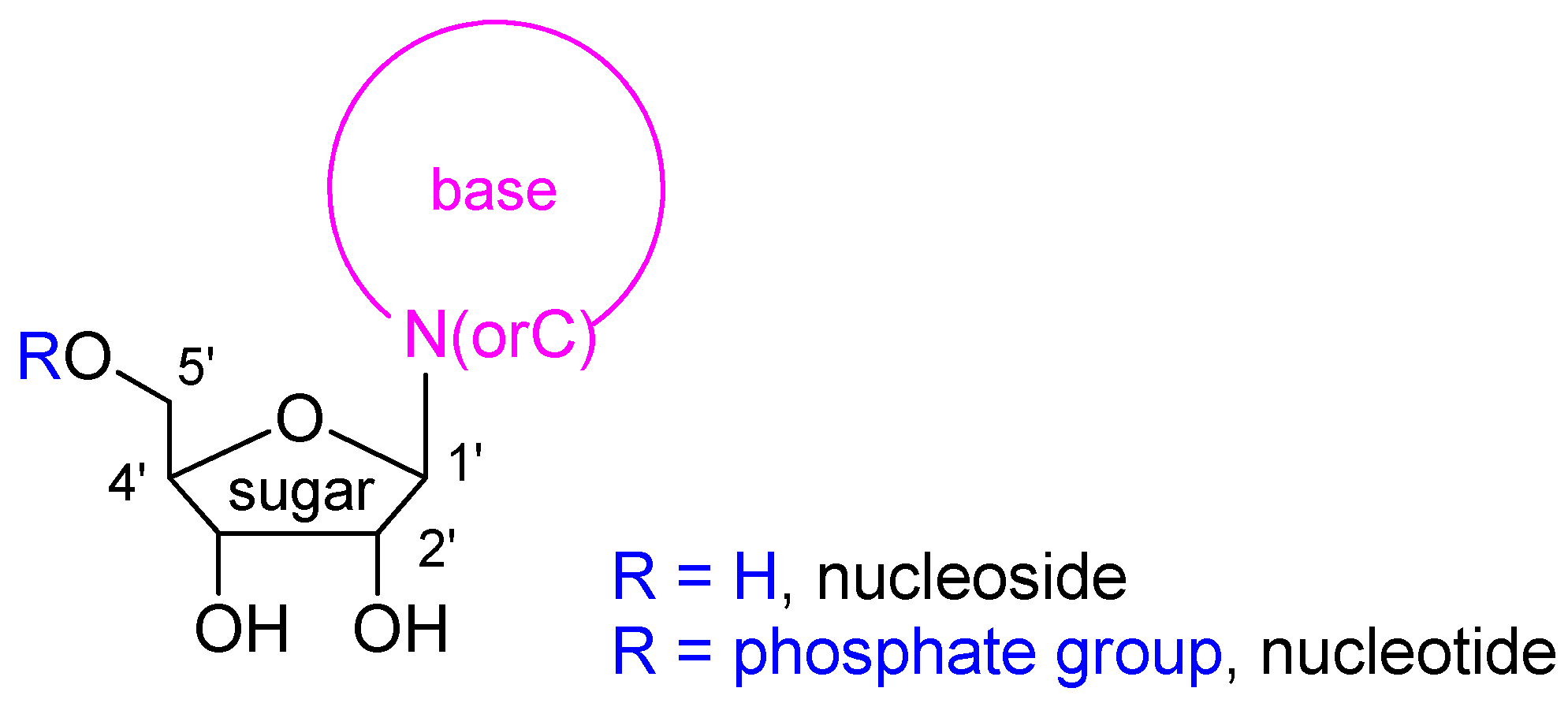 Ijms 23 00518 g002 550