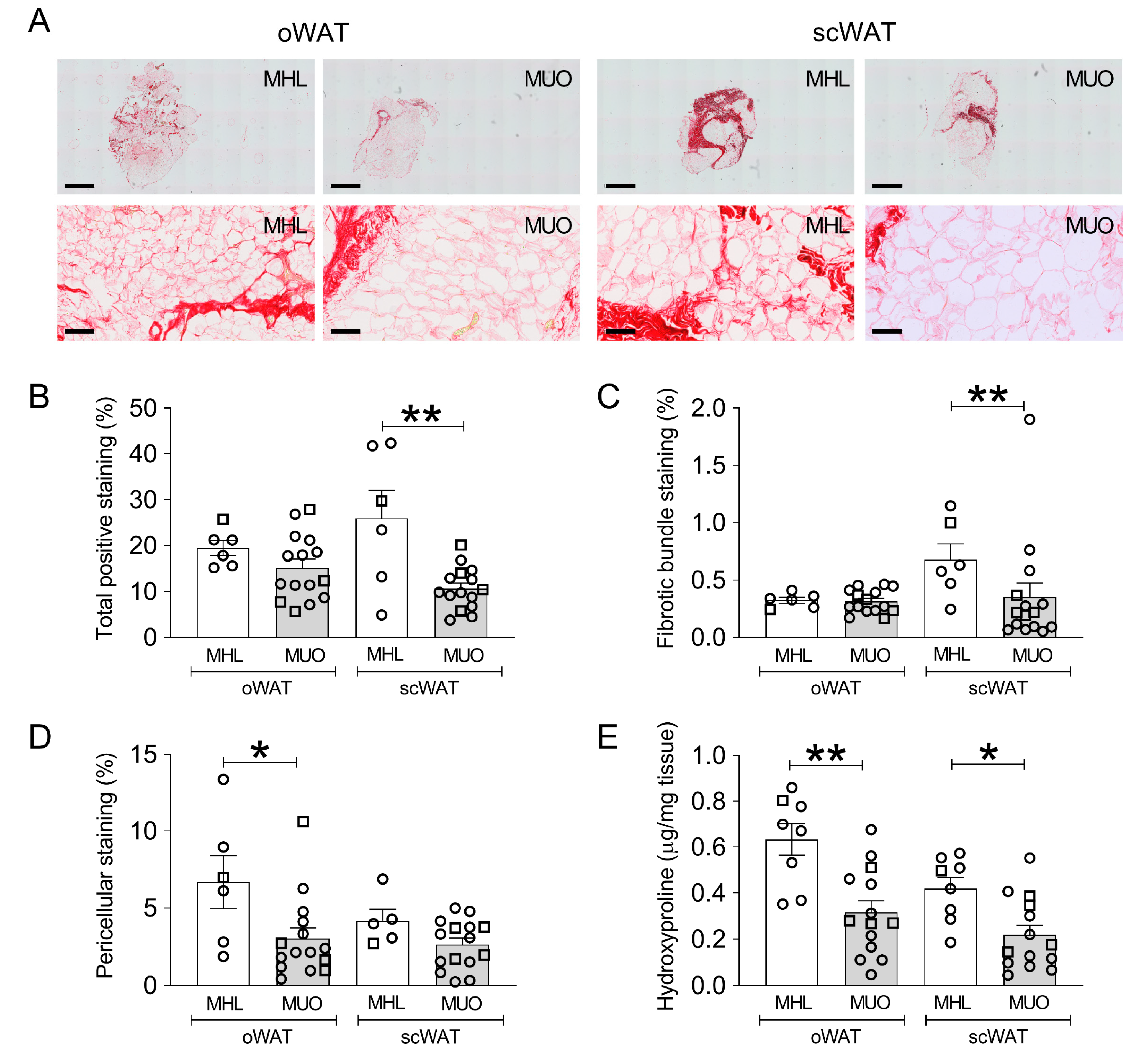 Ijms 23 00520 g001 550