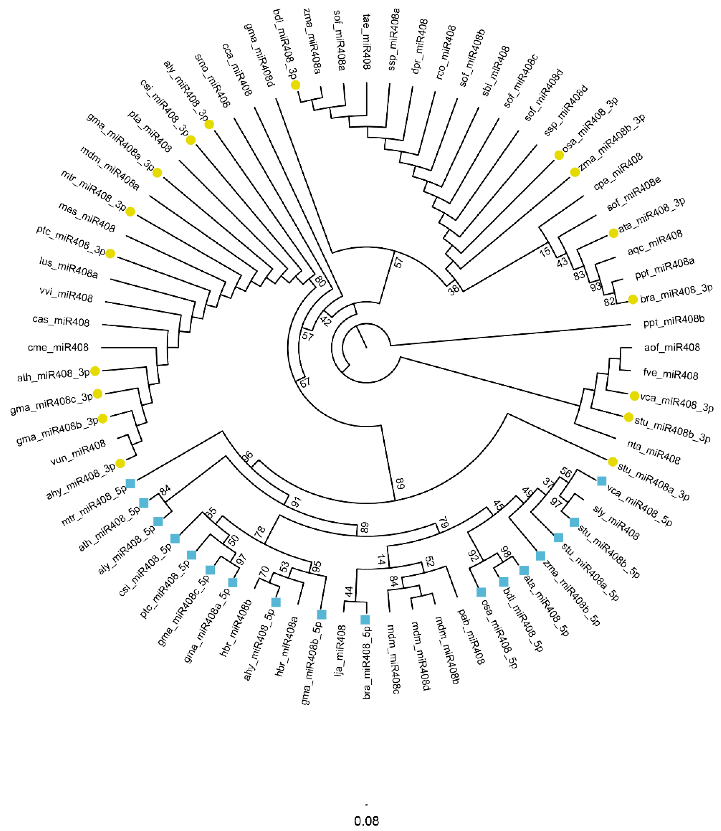Ijms 23 00530 g002 550