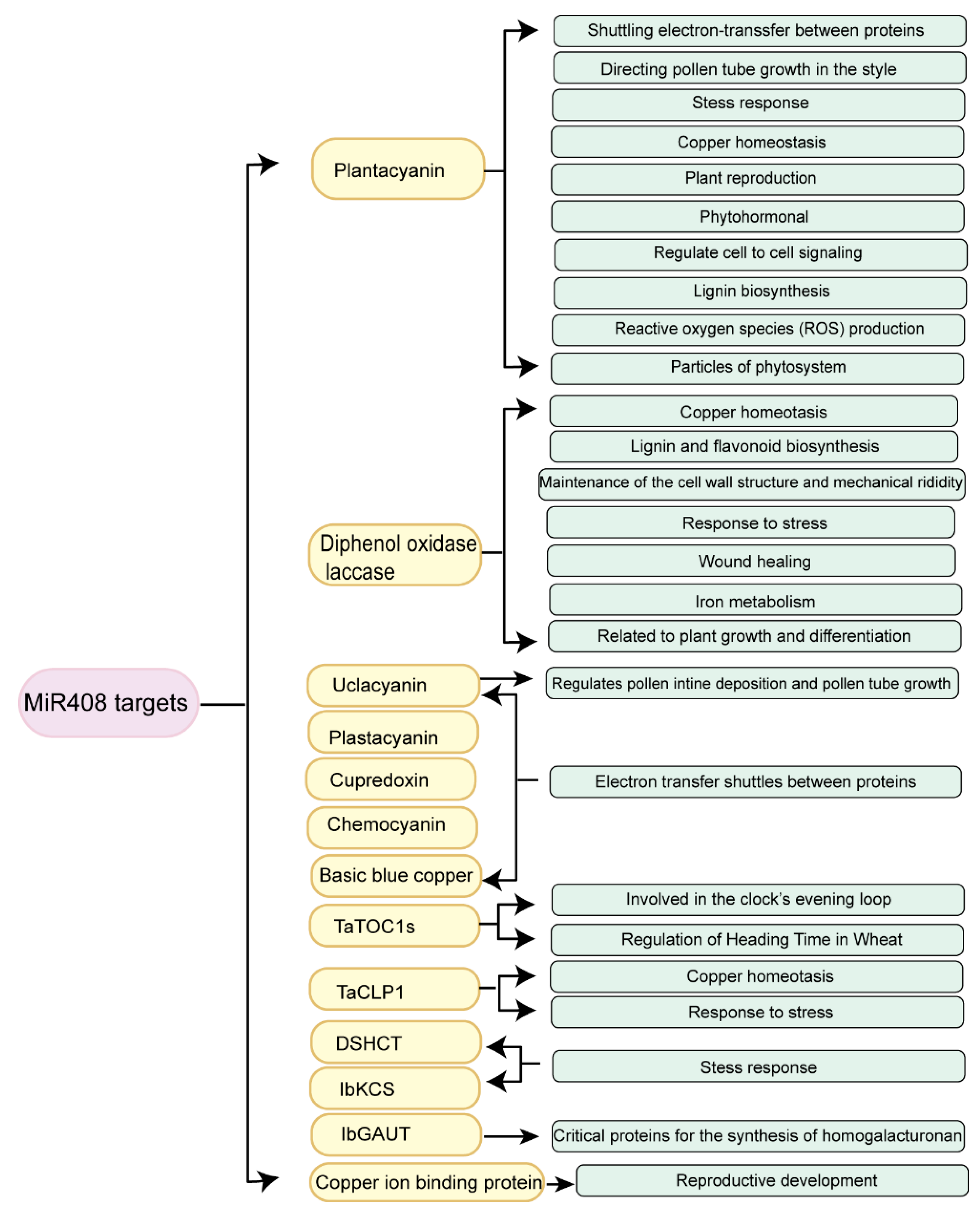 Ijms 23 00530 g003 550