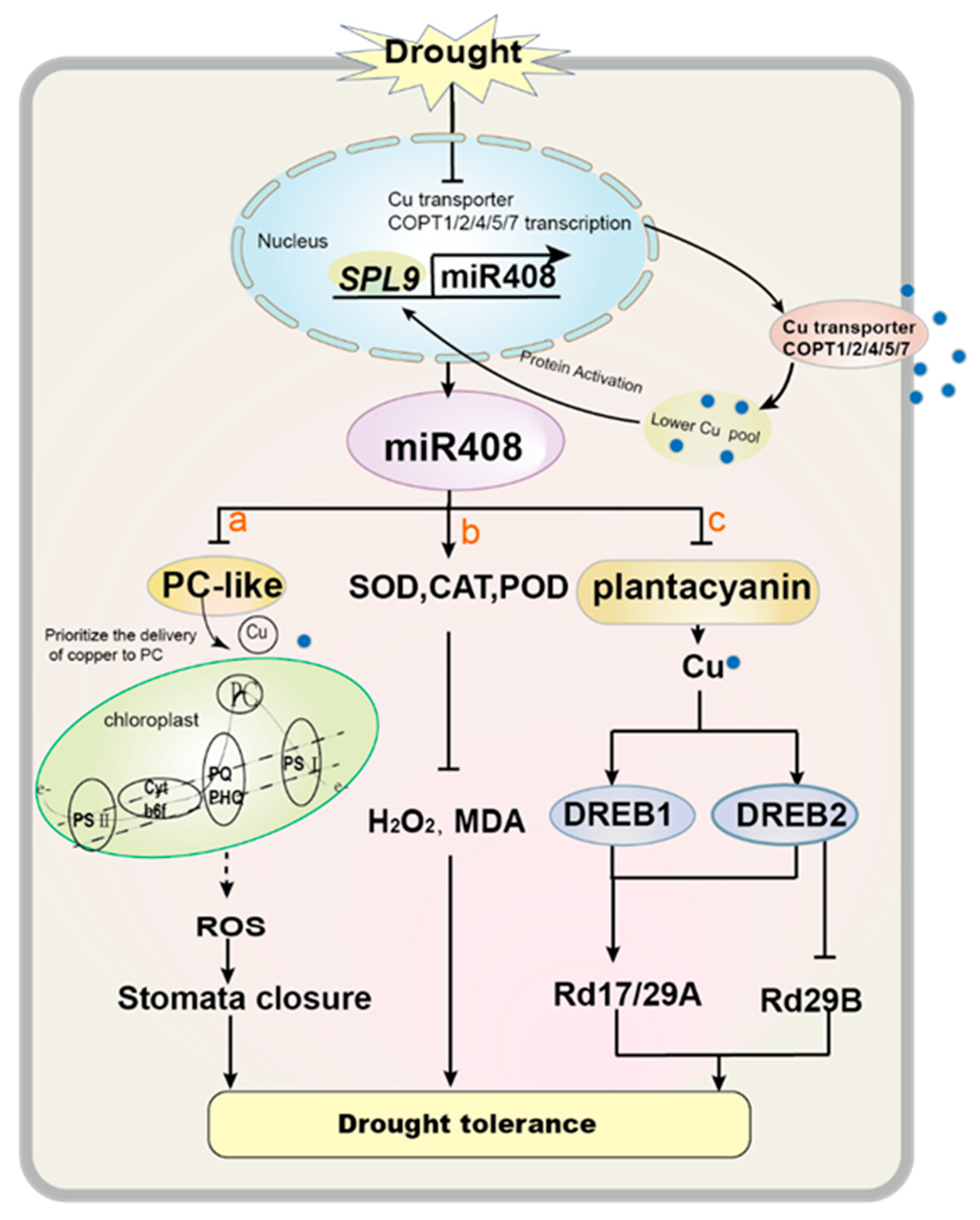 Ijms 23 00530 g005 550