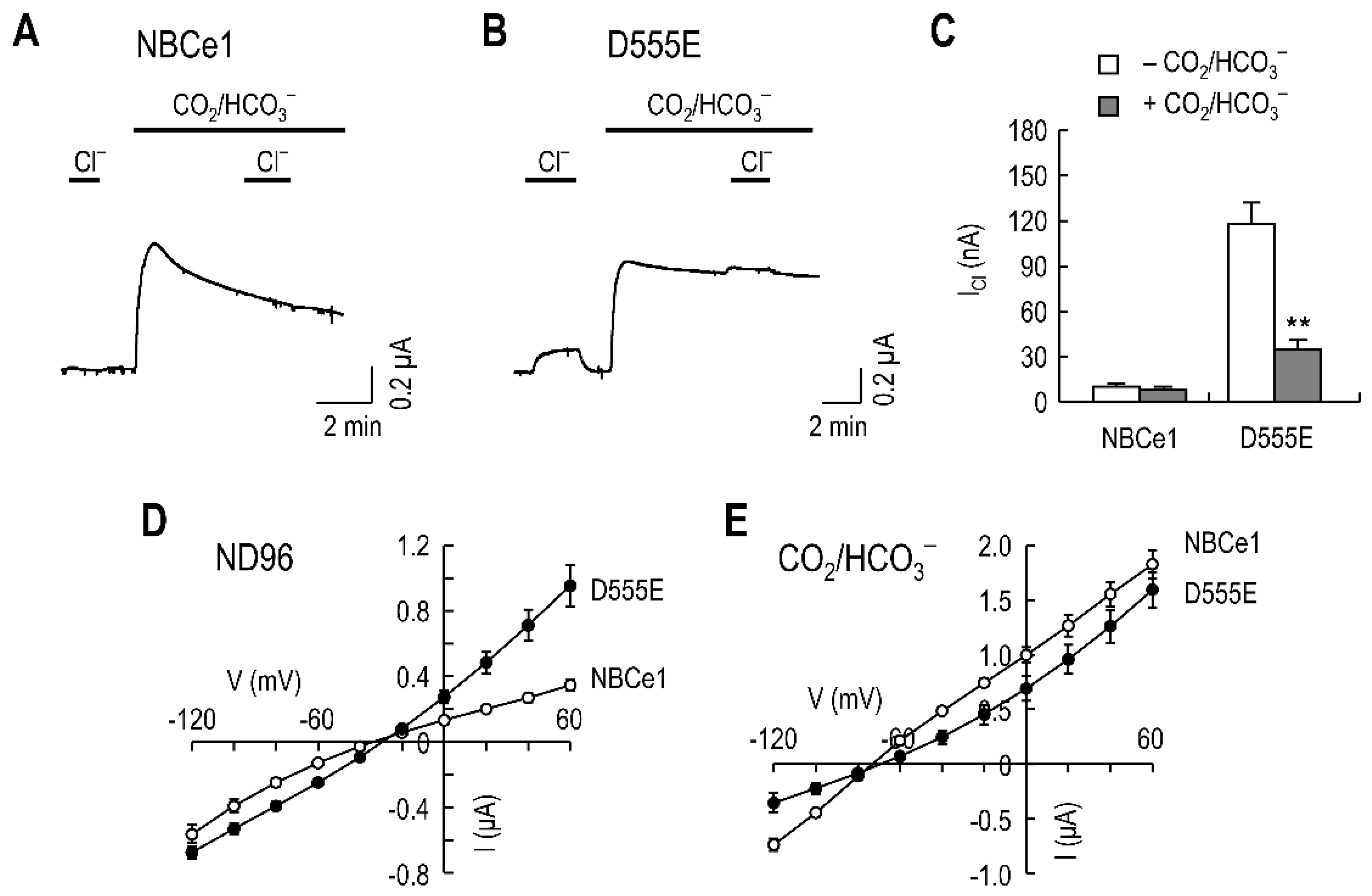 Ijms 23 00532 g001 550
