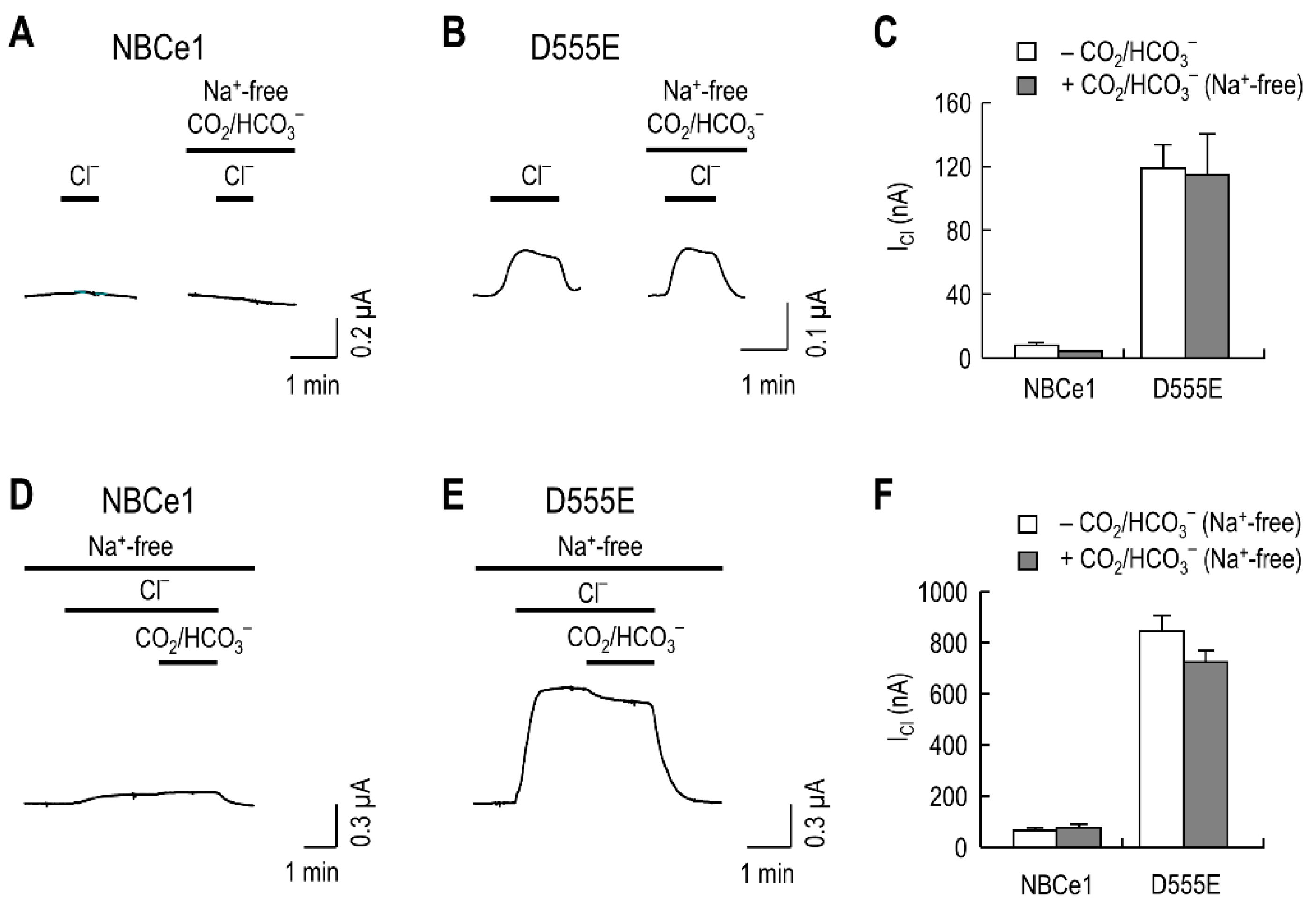 Ijms 23 00532 g002 550