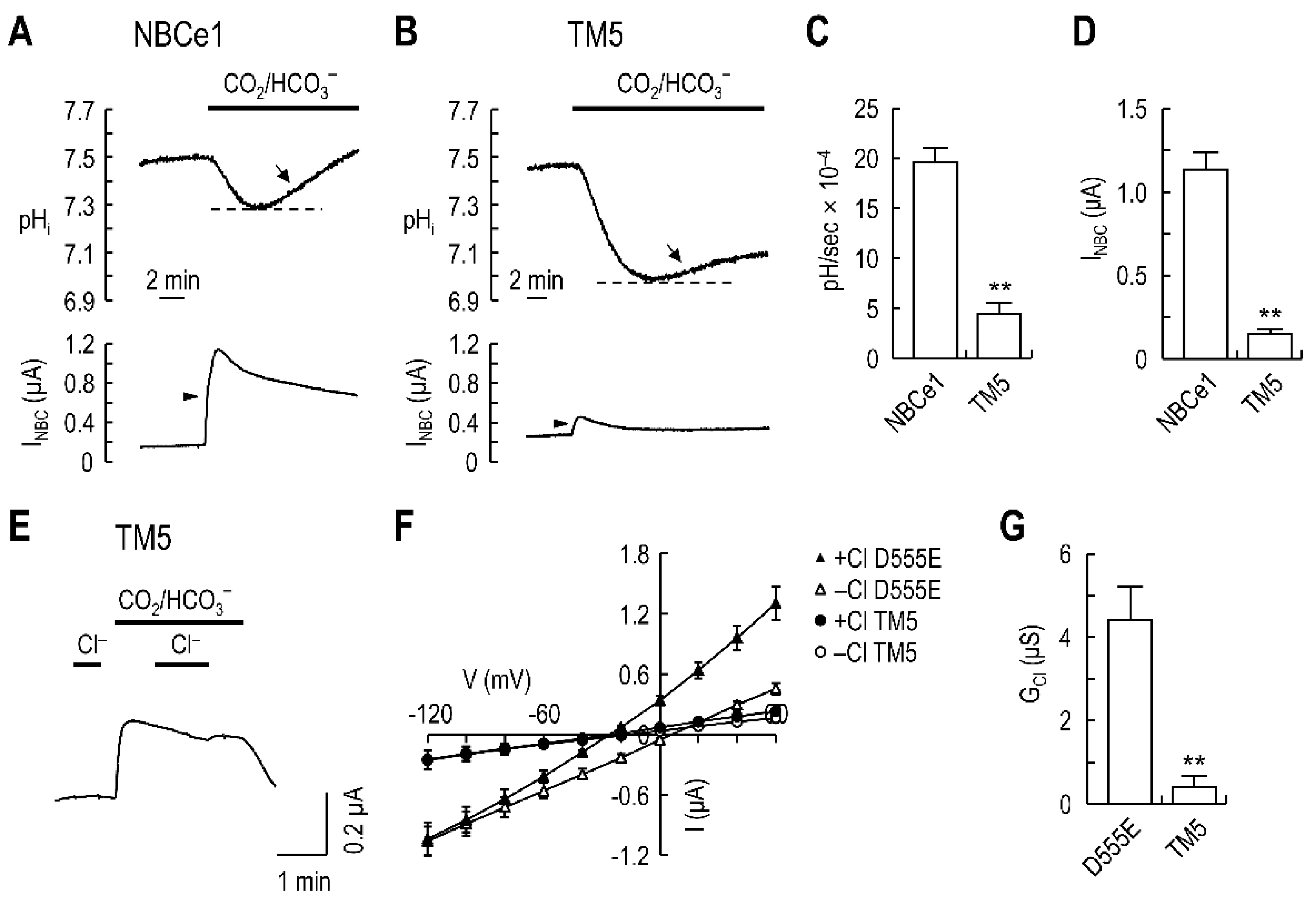 Ijms 23 00532 g003 550