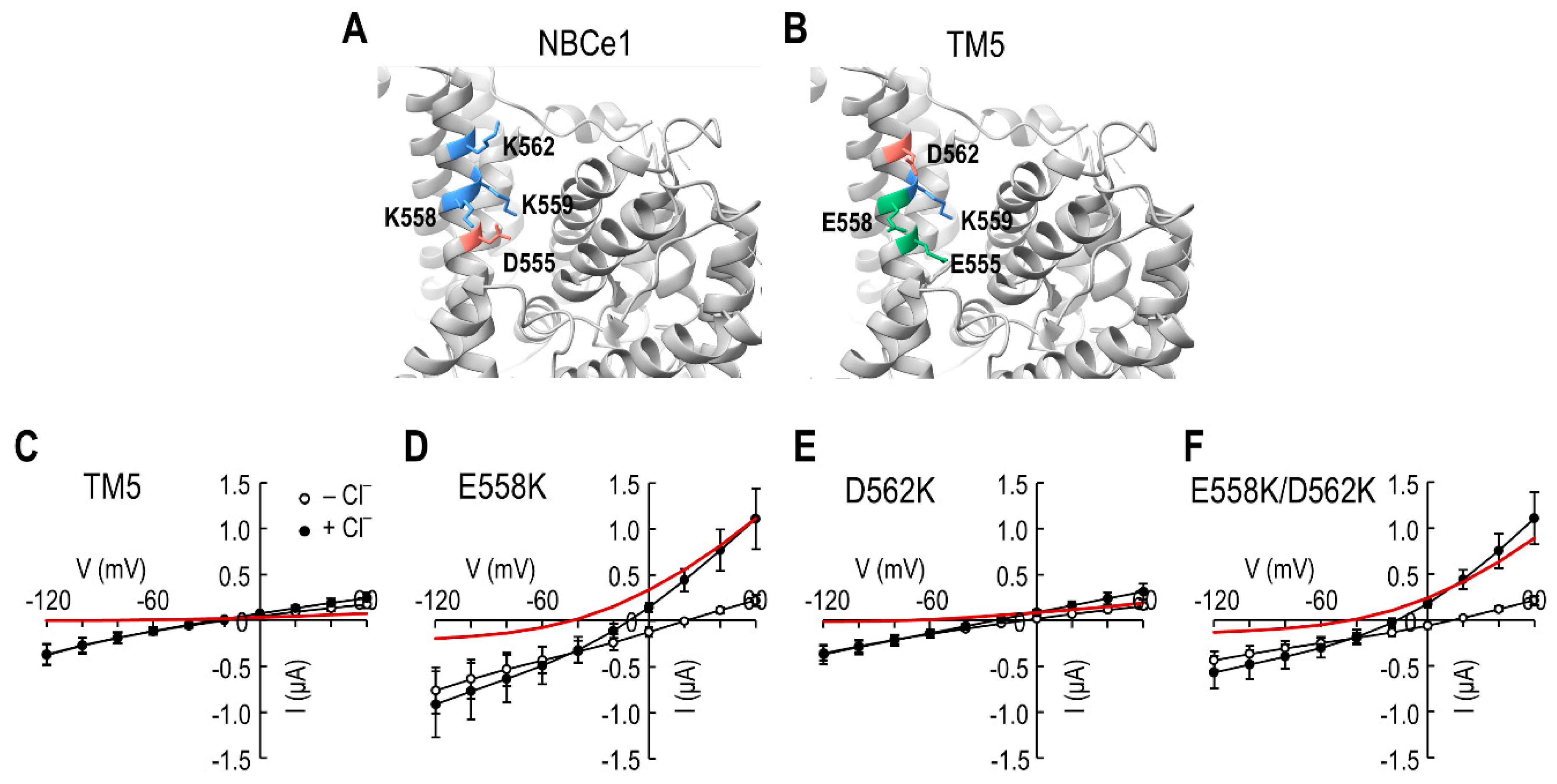 Ijms 23 00532 g004 550
