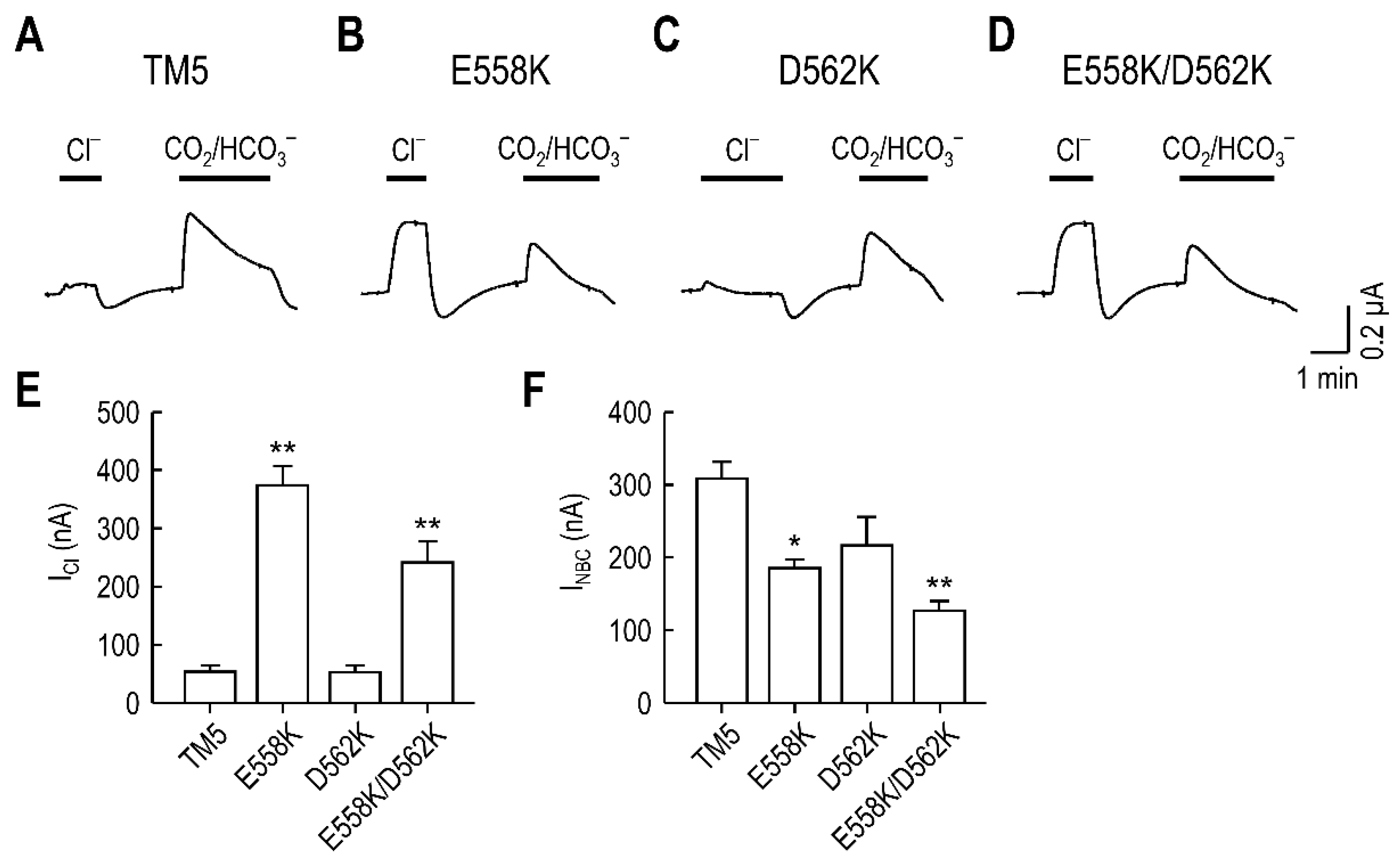 Ijms 23 00532 g005 550