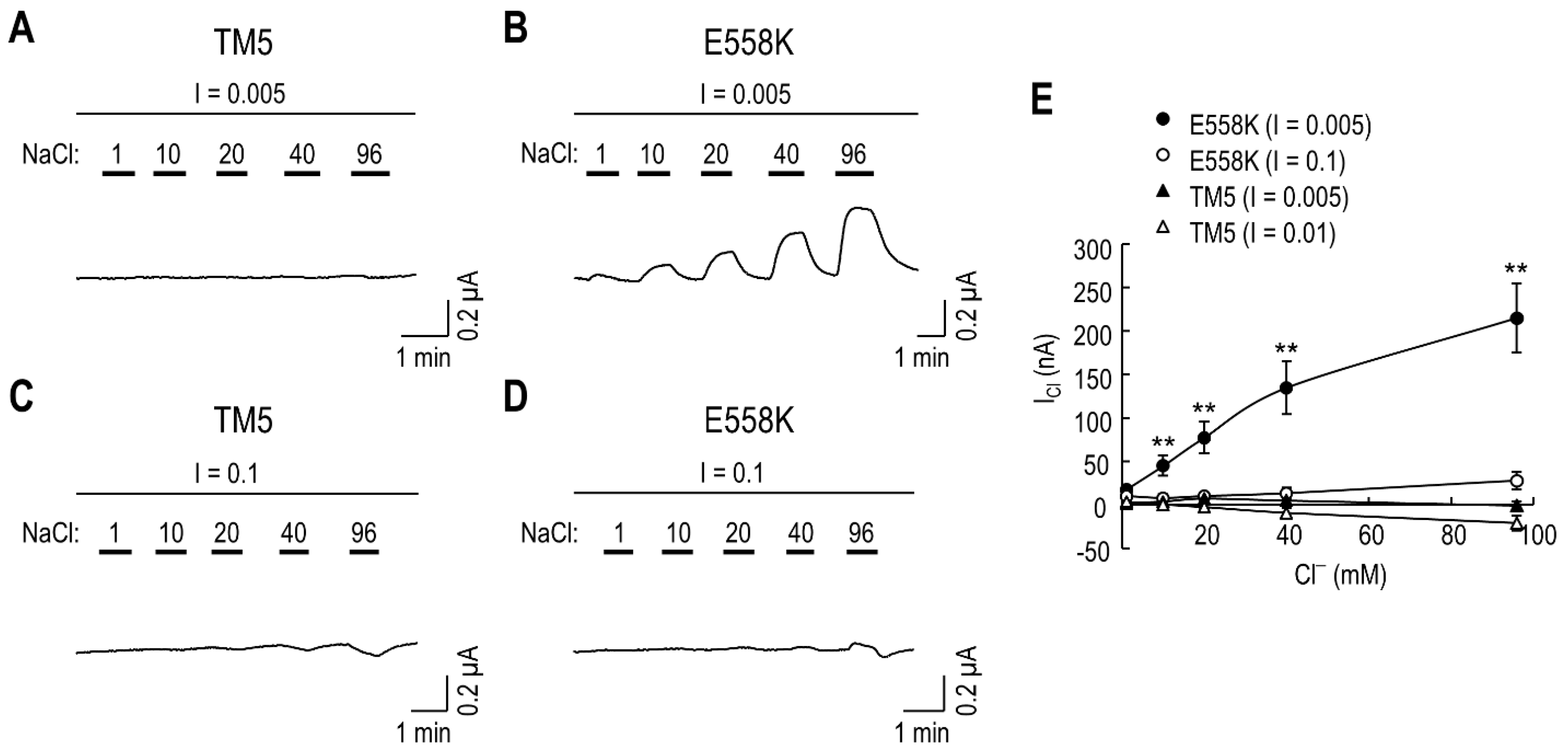 Ijms 23 00532 g006 550
