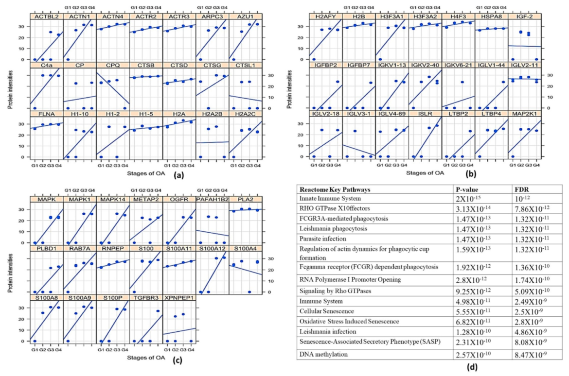 Ijms 23 00541 g006 550