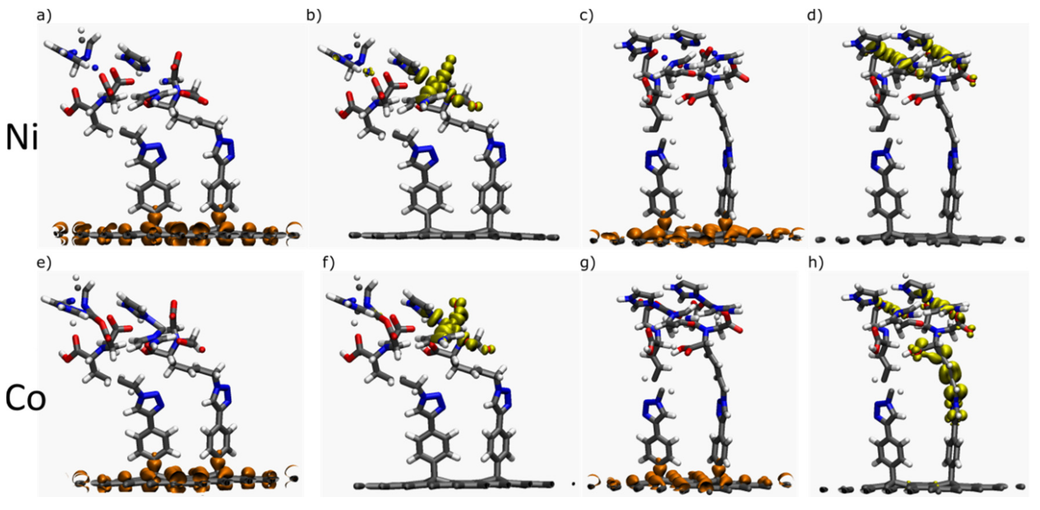 Ijms 23 00543 g006 Ijms 23 00543 g006