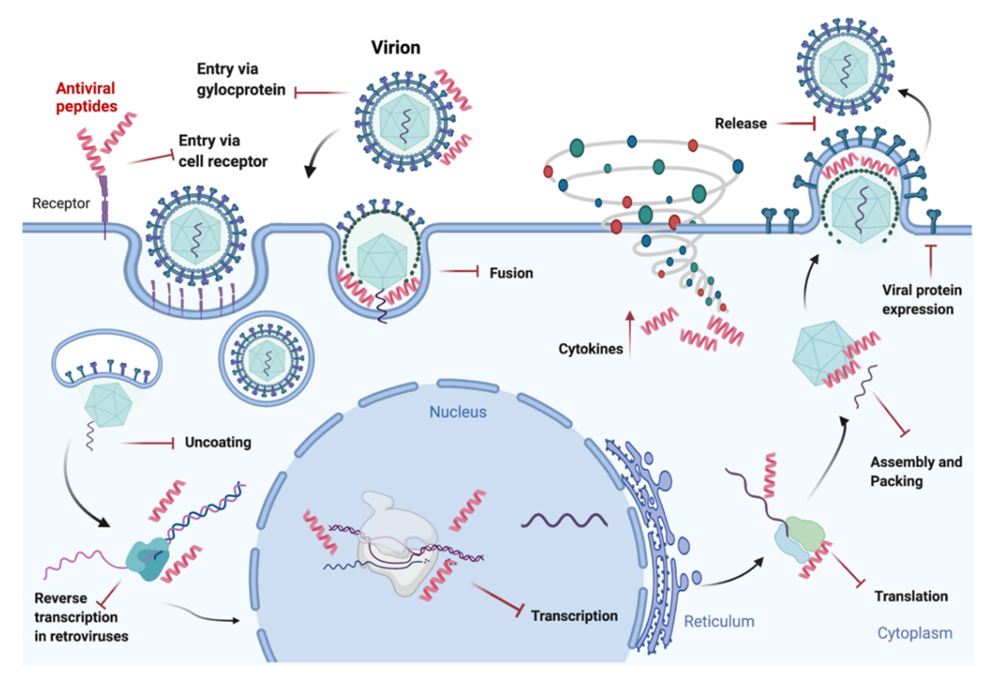 Ijms 23 00545 g002 Ijms 23 00545 g002