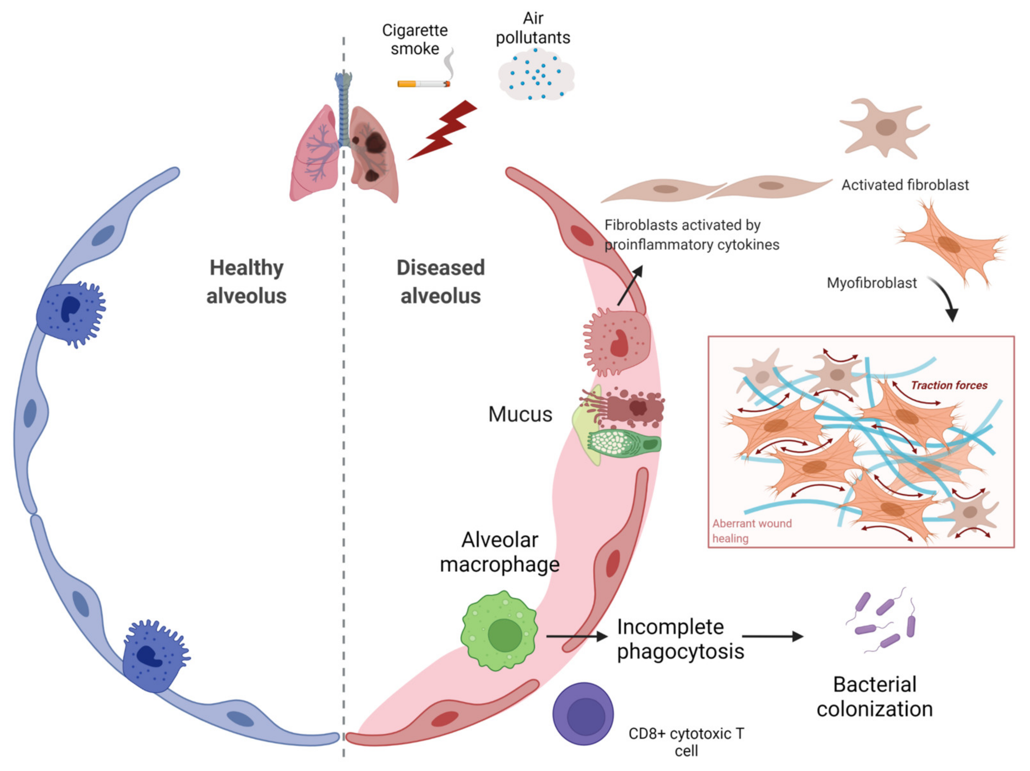 Ijms 23 00546 g002 Ijms 23 00546 g002