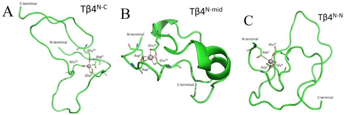 Ijms 23 00551 g003 Ijms 23 00551 g003