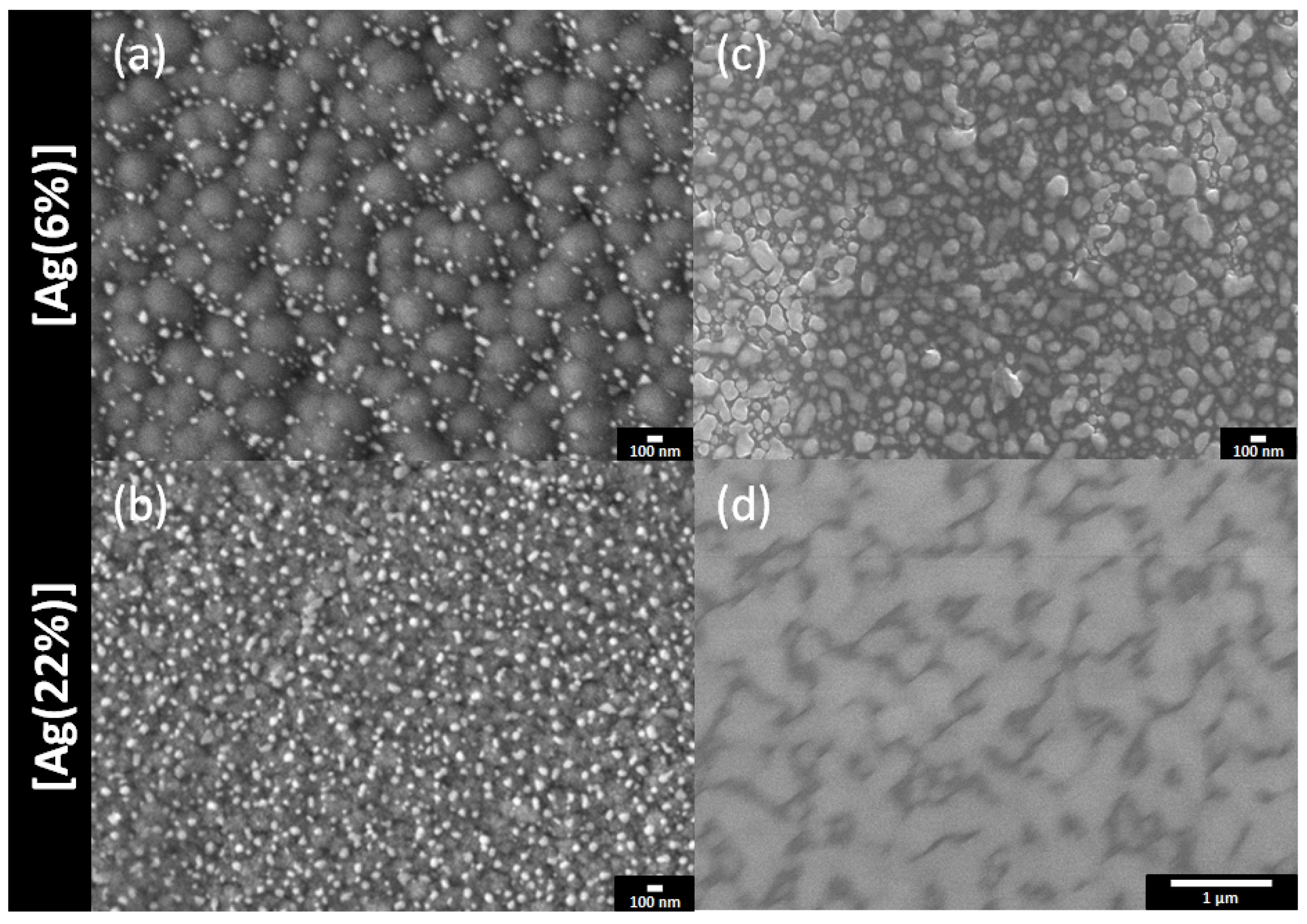 Ijms 23 00563 g002 550