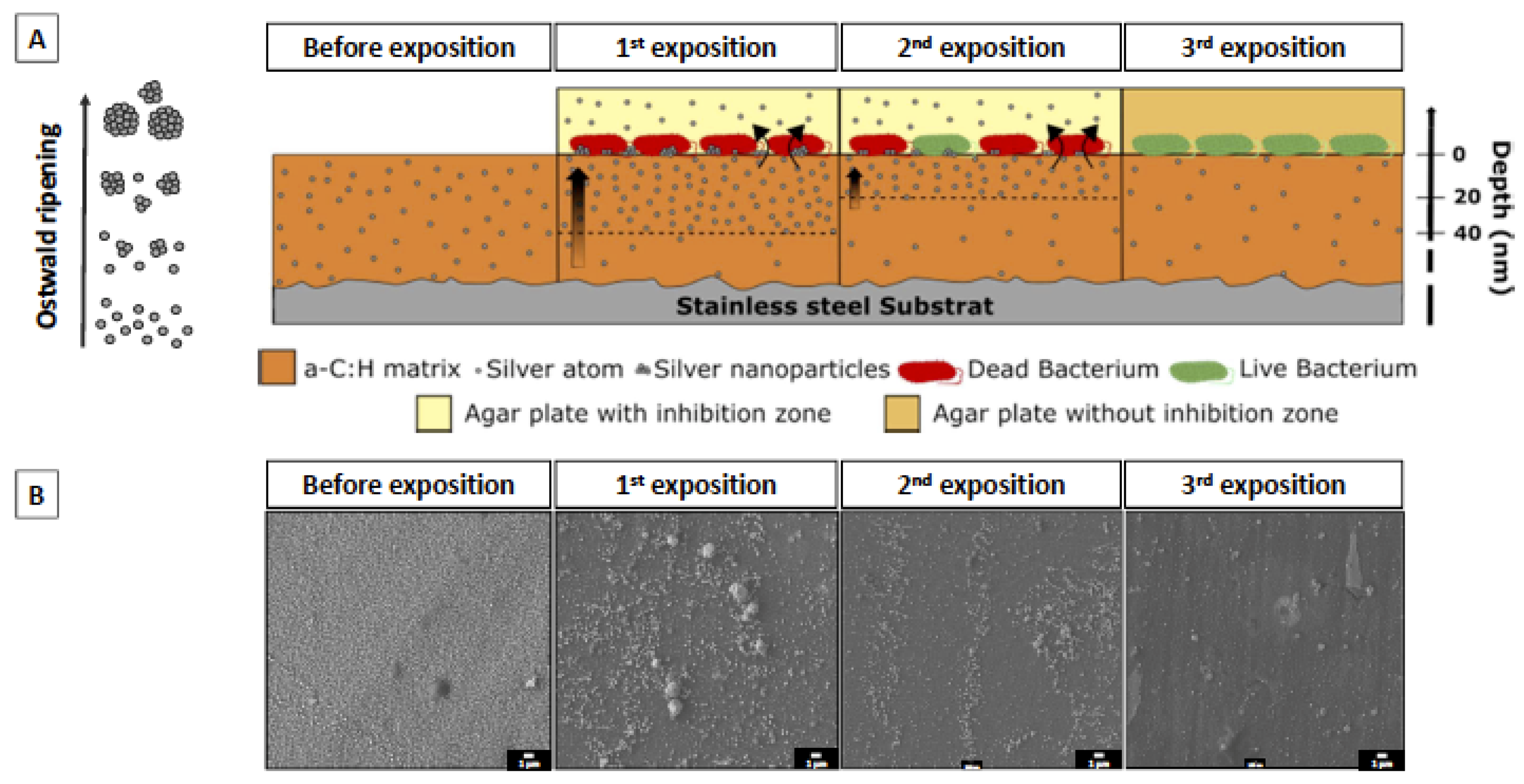 Ijms 23 00563 g009 550