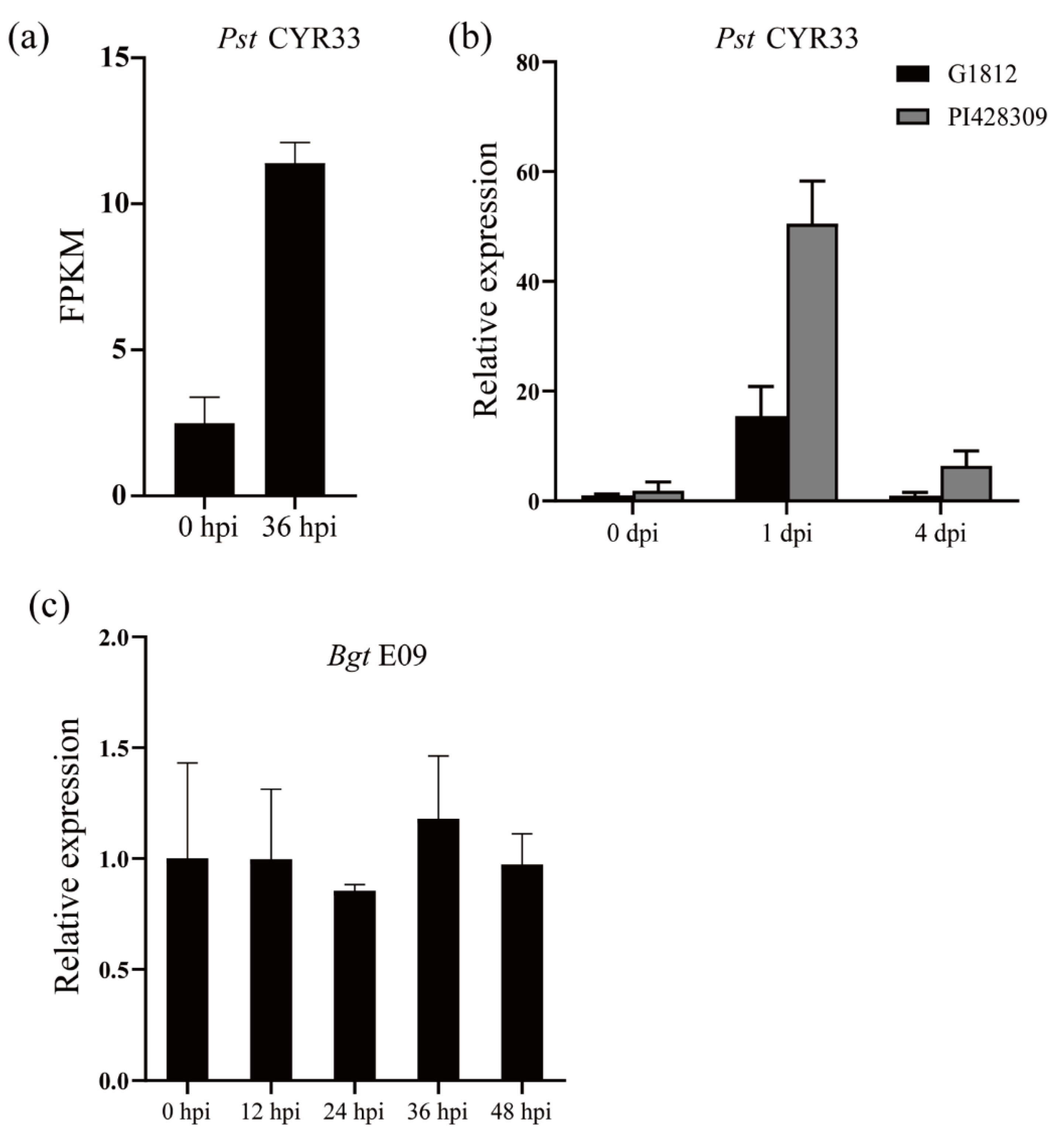 Ijms 23 00564 g001 Ijms 23 00564 g001
