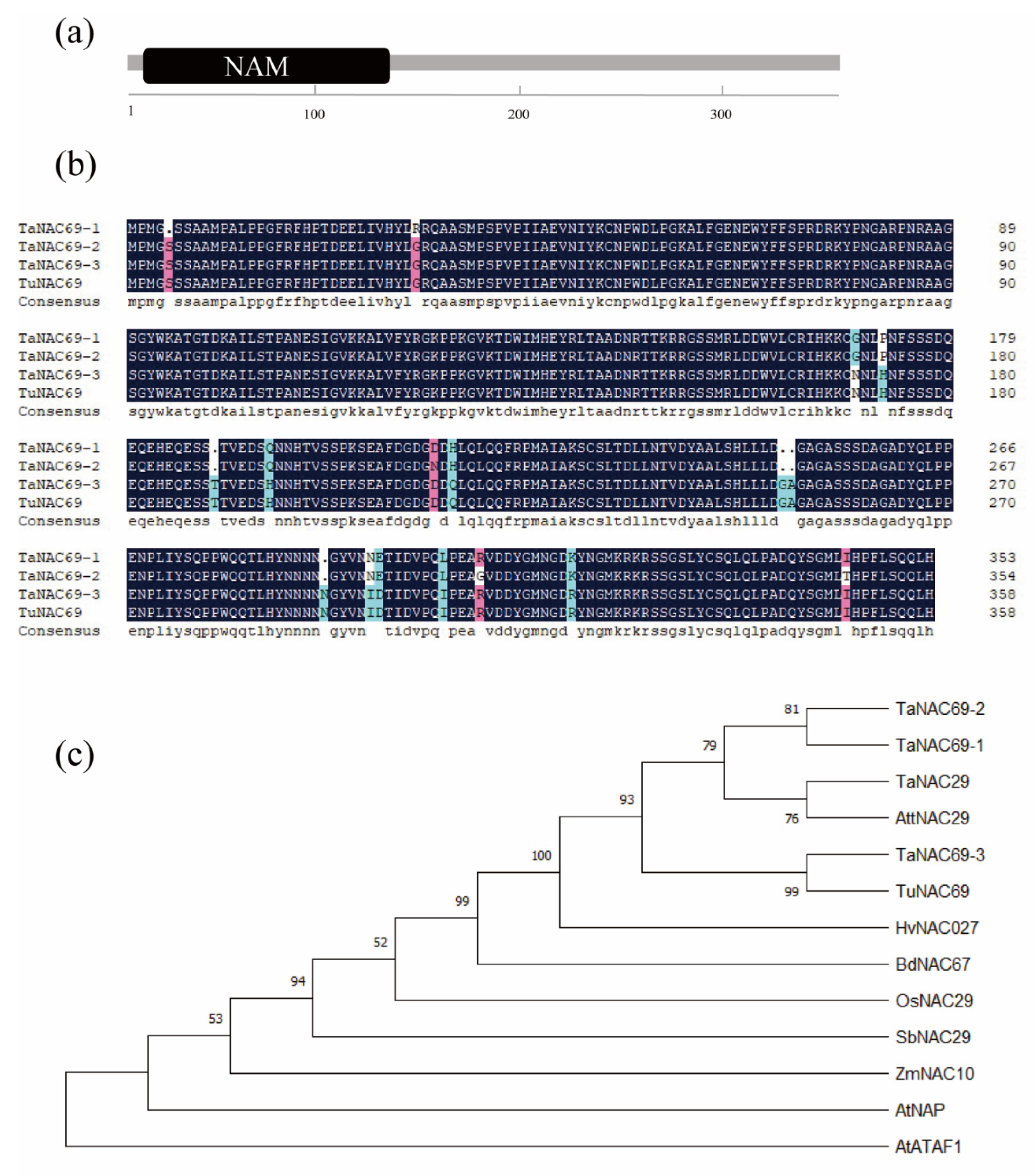 Ijms 23 00564 g002 Ijms 23 00564 g002
