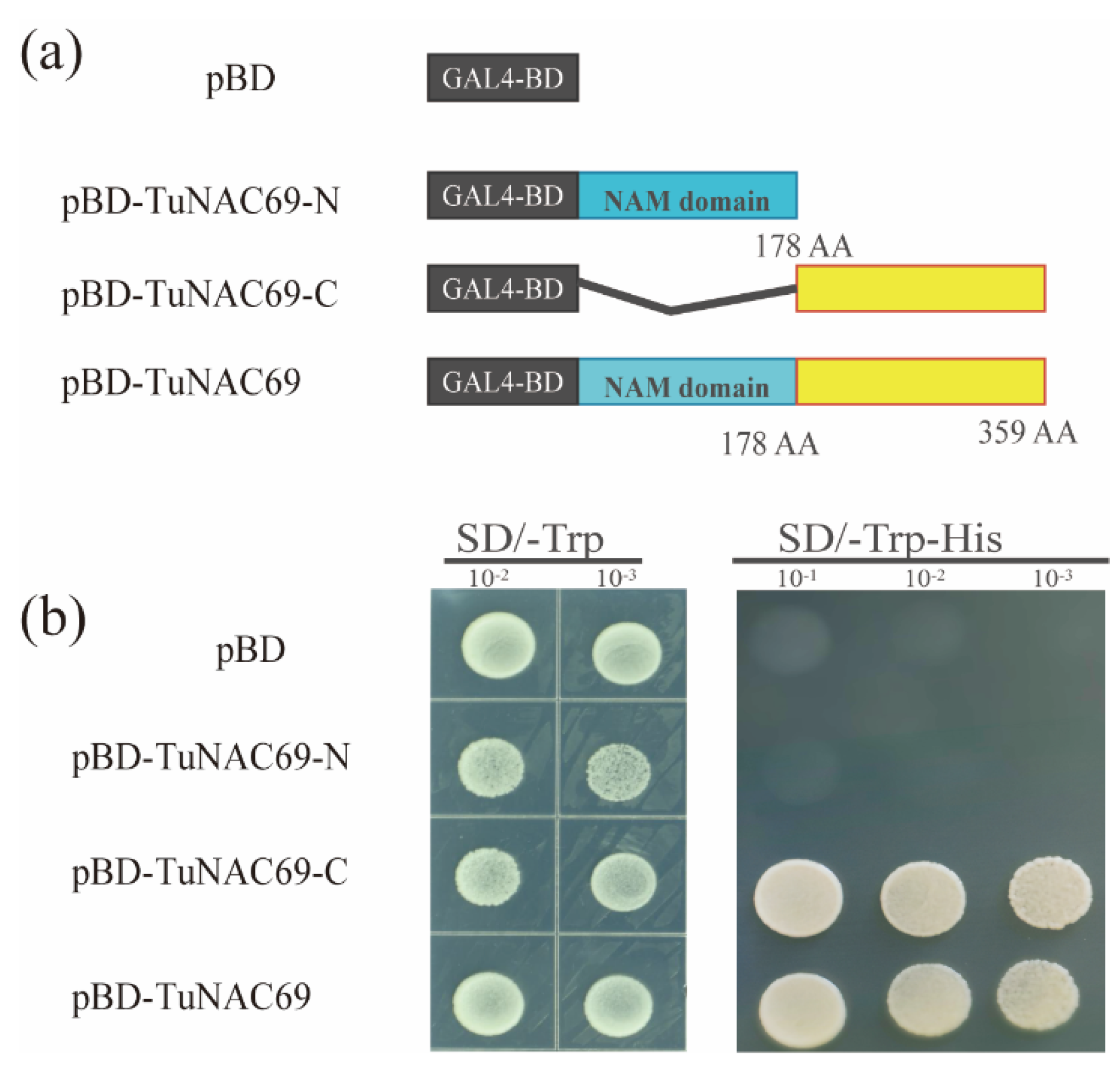 Ijms 23 00564 g004 Ijms 23 00564 g004