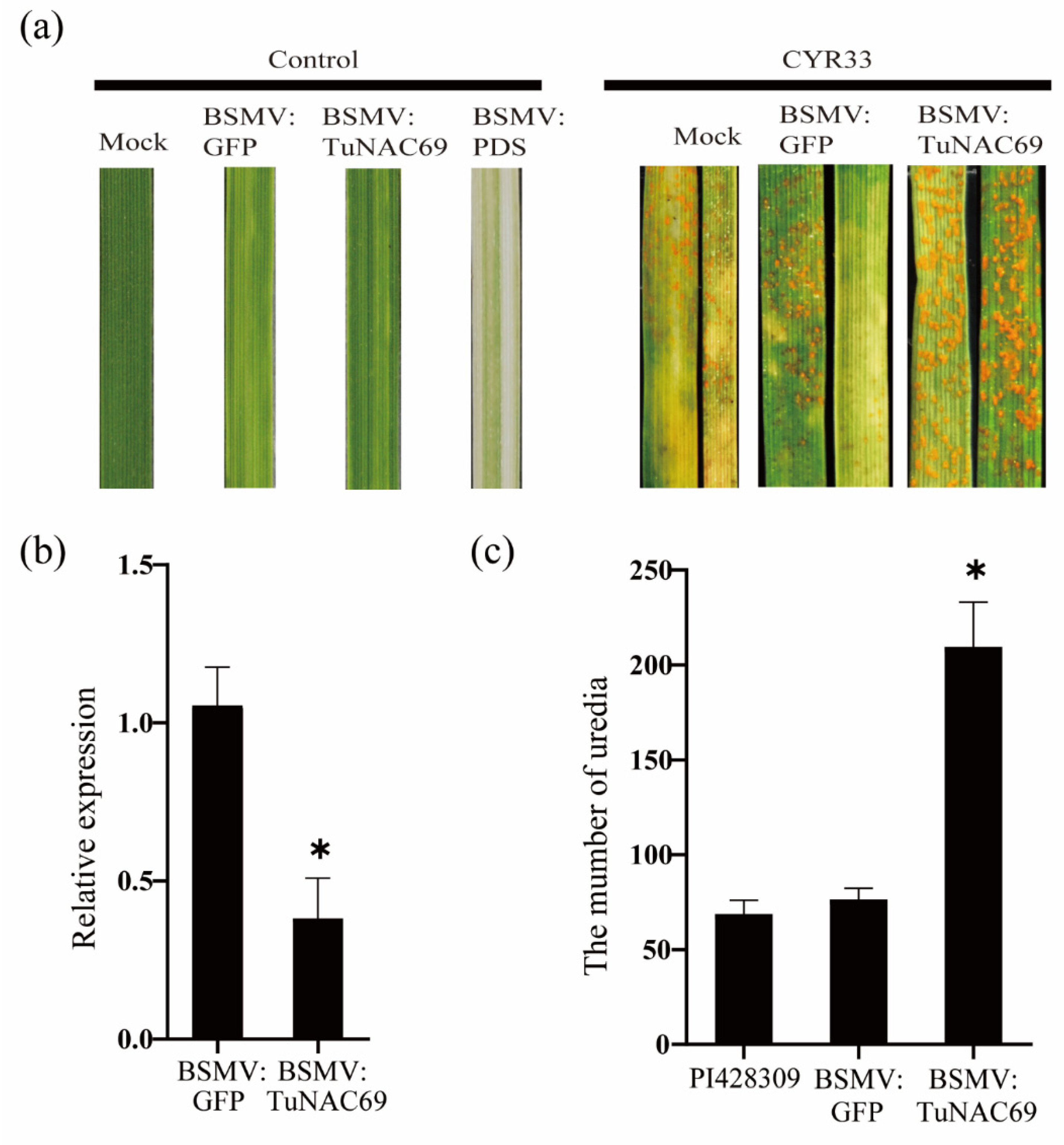 Ijms 23 00564 g005 Ijms 23 00564 g005