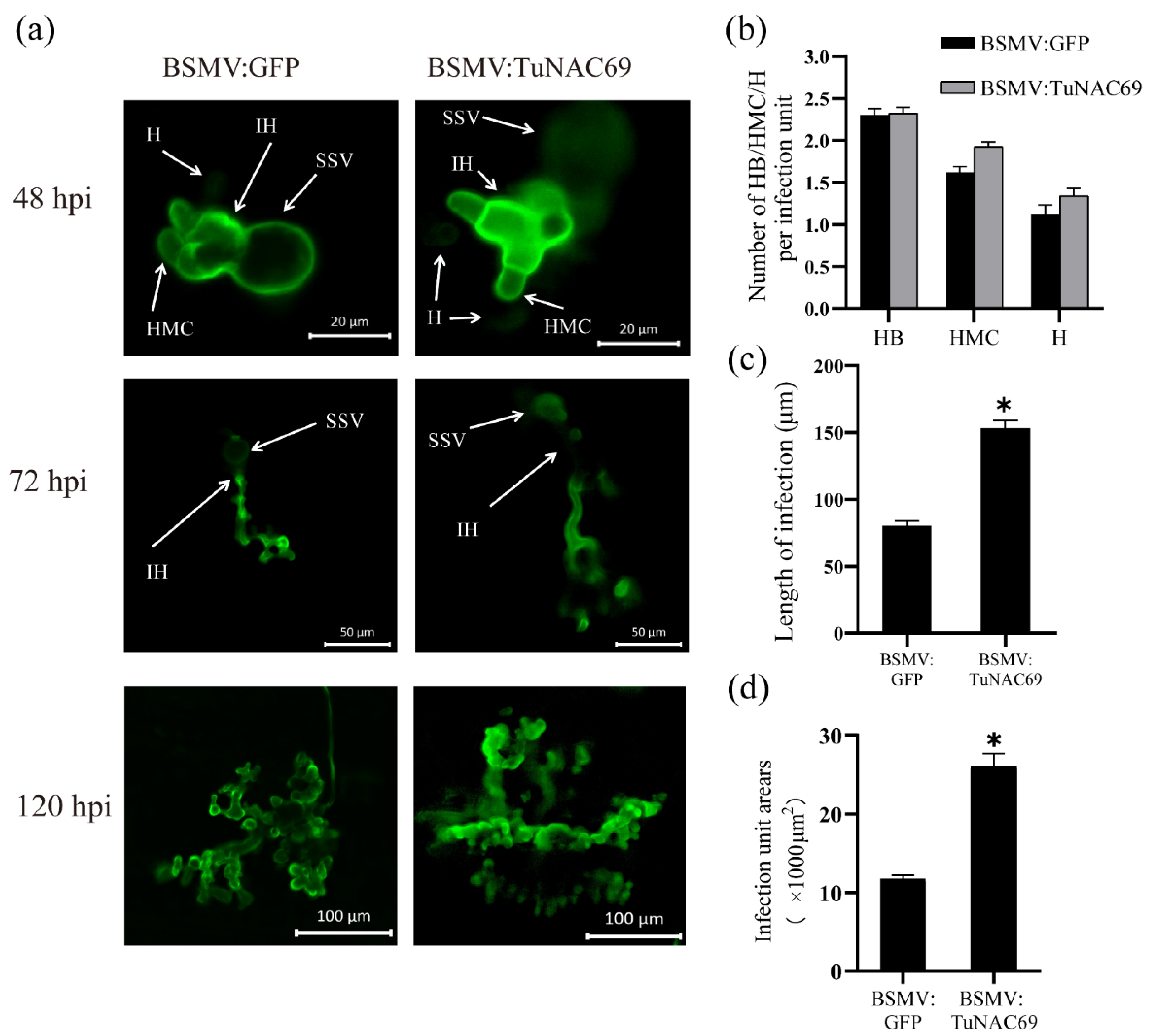 Ijms 23 00564 g006 Ijms 23 00564 g006