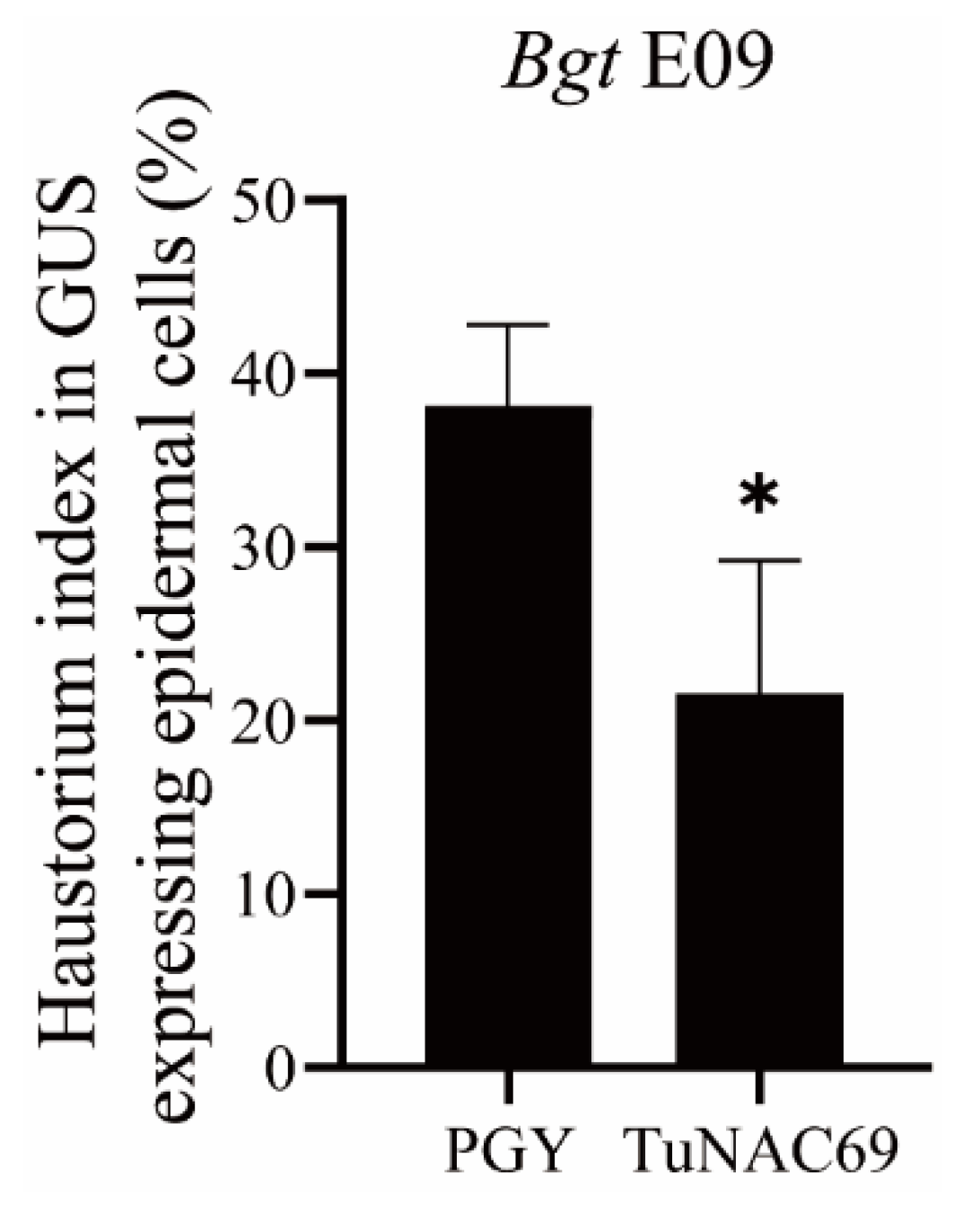 Ijms 23 00564 g007 Ijms 23 00564 g007