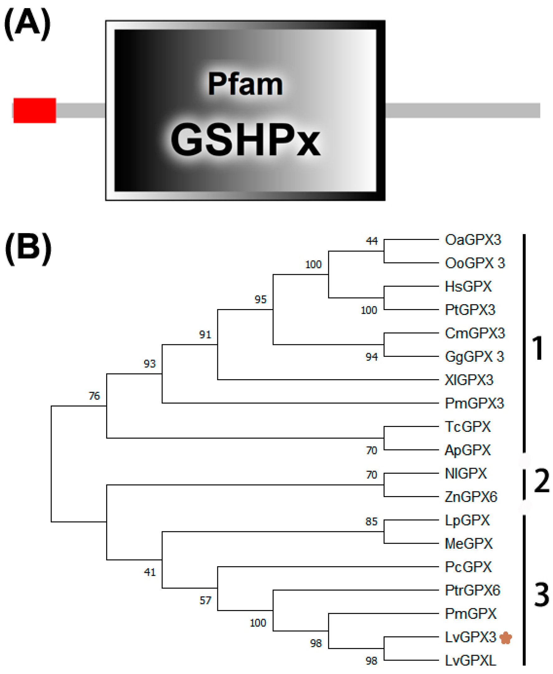 Ijms 23 00567 g001 550