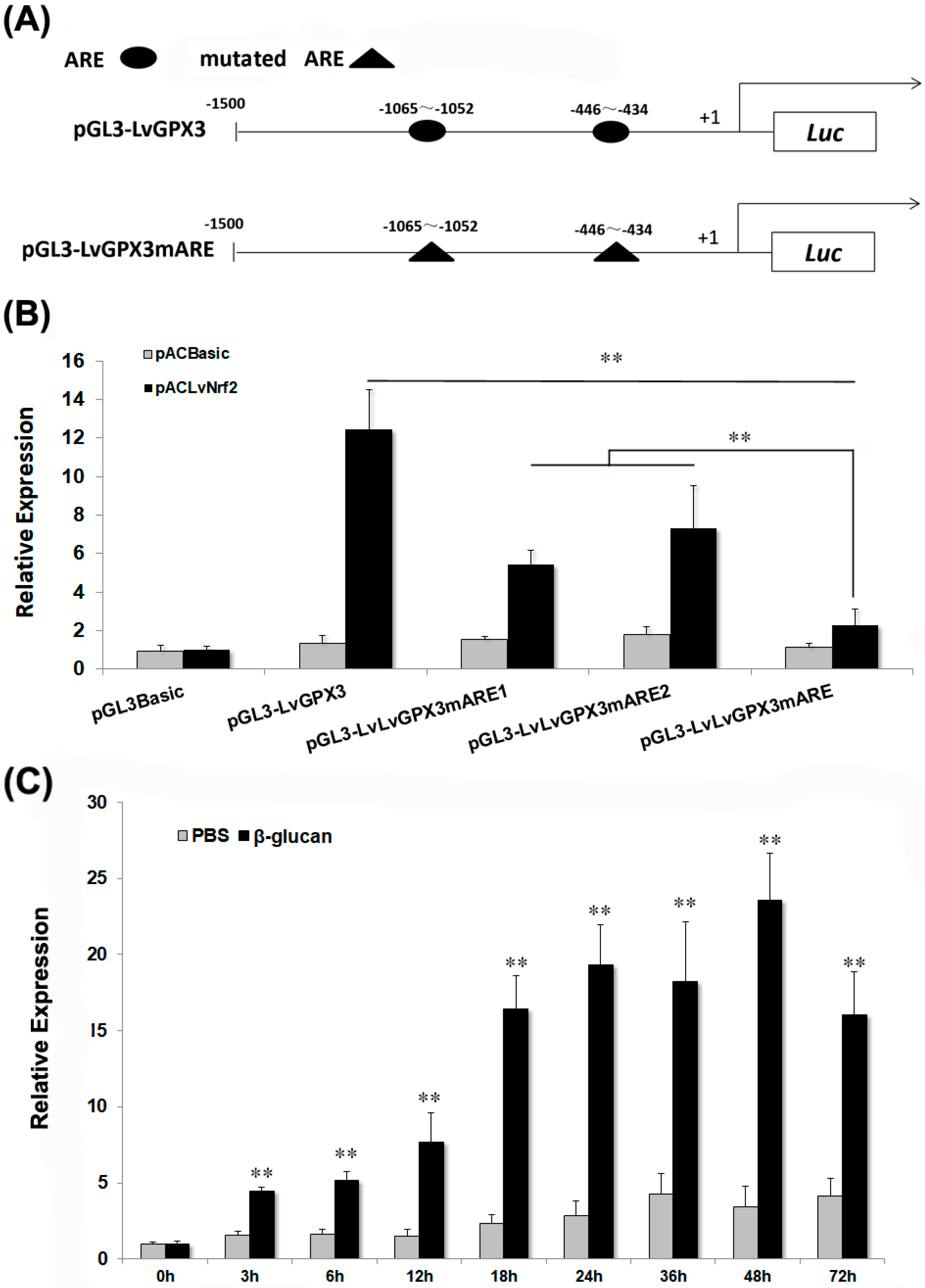 Ijms 23 00567 g003 550
