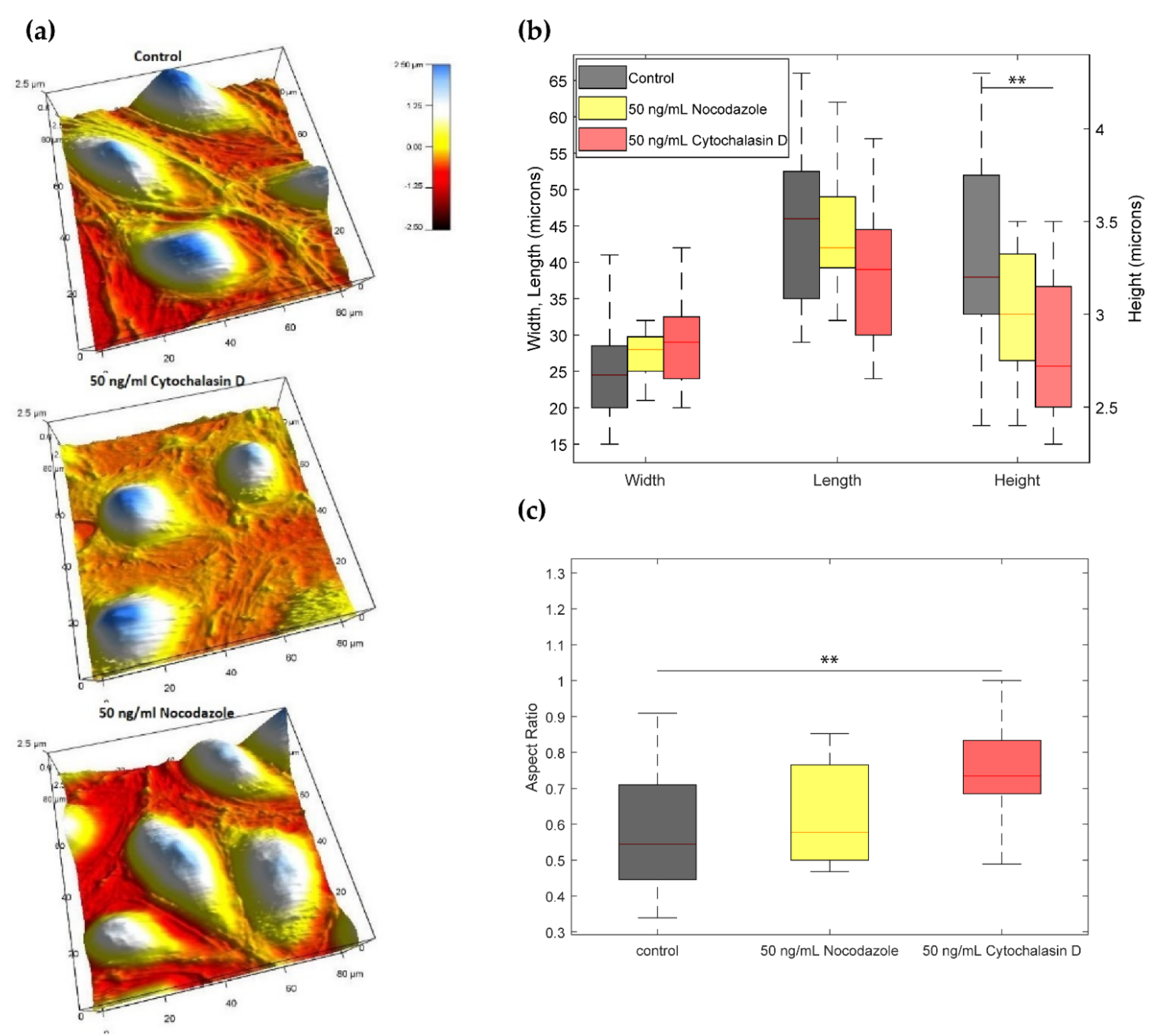 Ijms 23 00568 g006 550