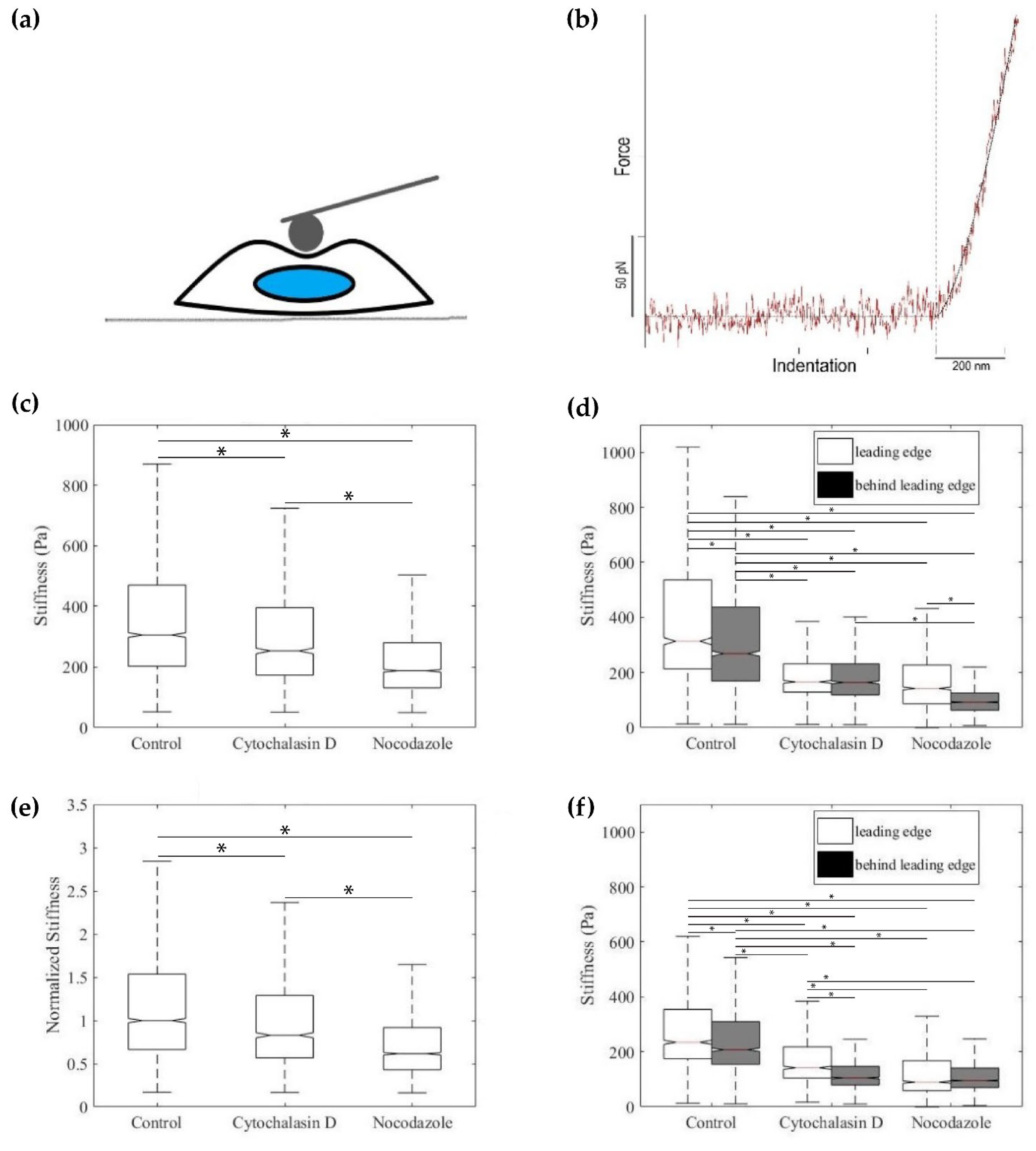 Ijms 23 00568 g007 550
