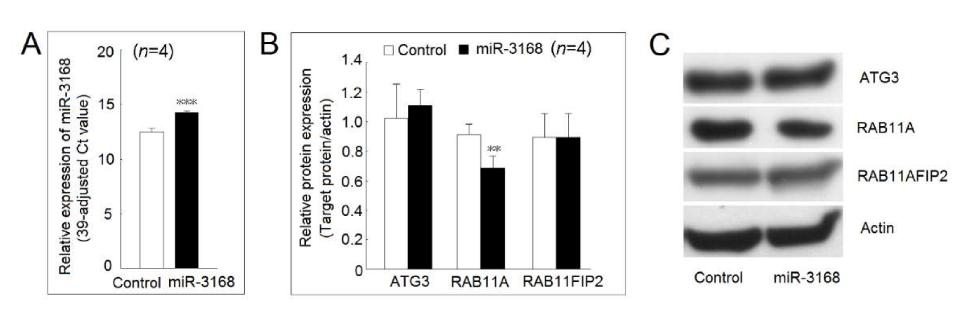 Ijms 23 00570 g008 550