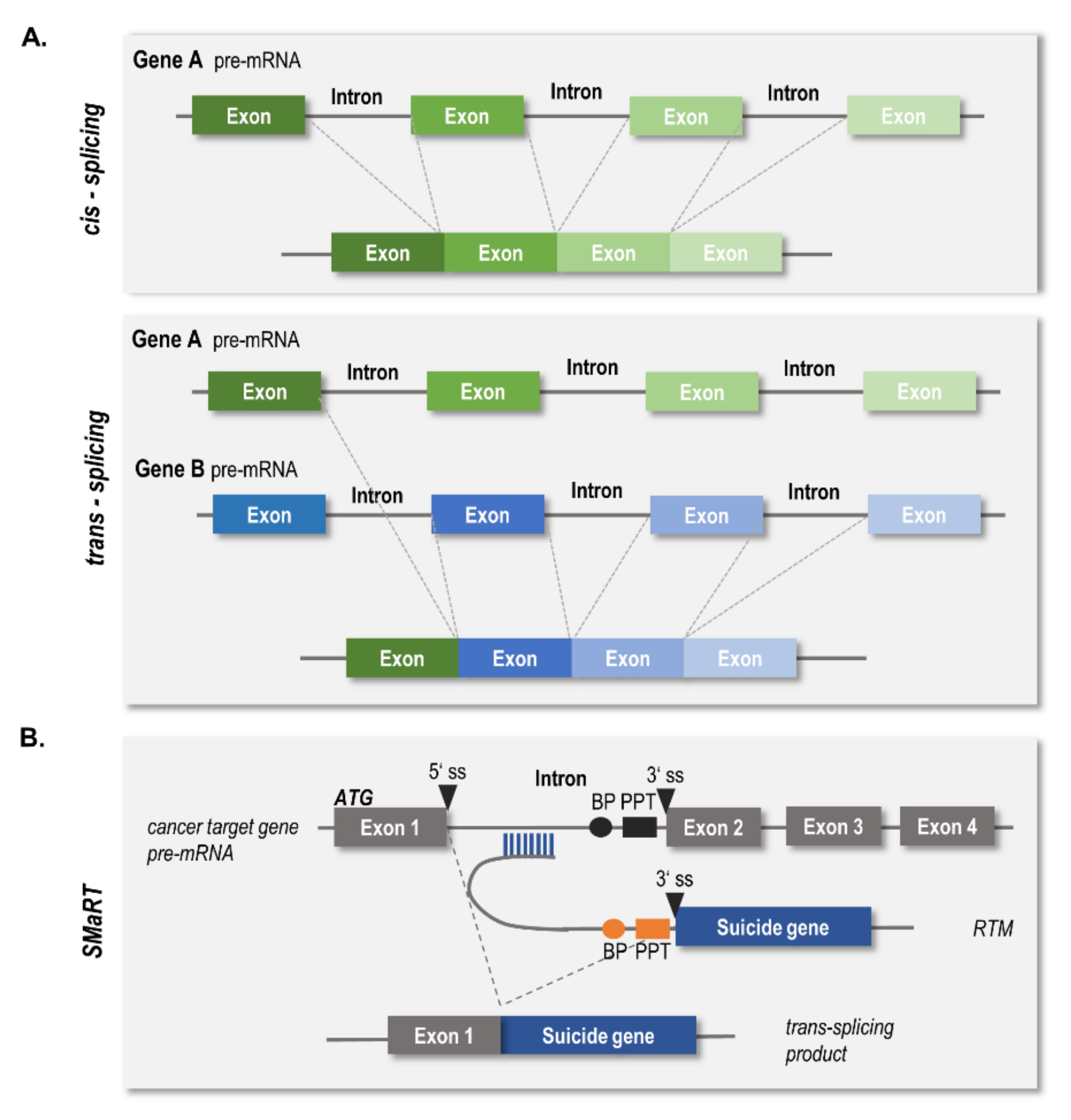 Ijms 23 00575 g001 550