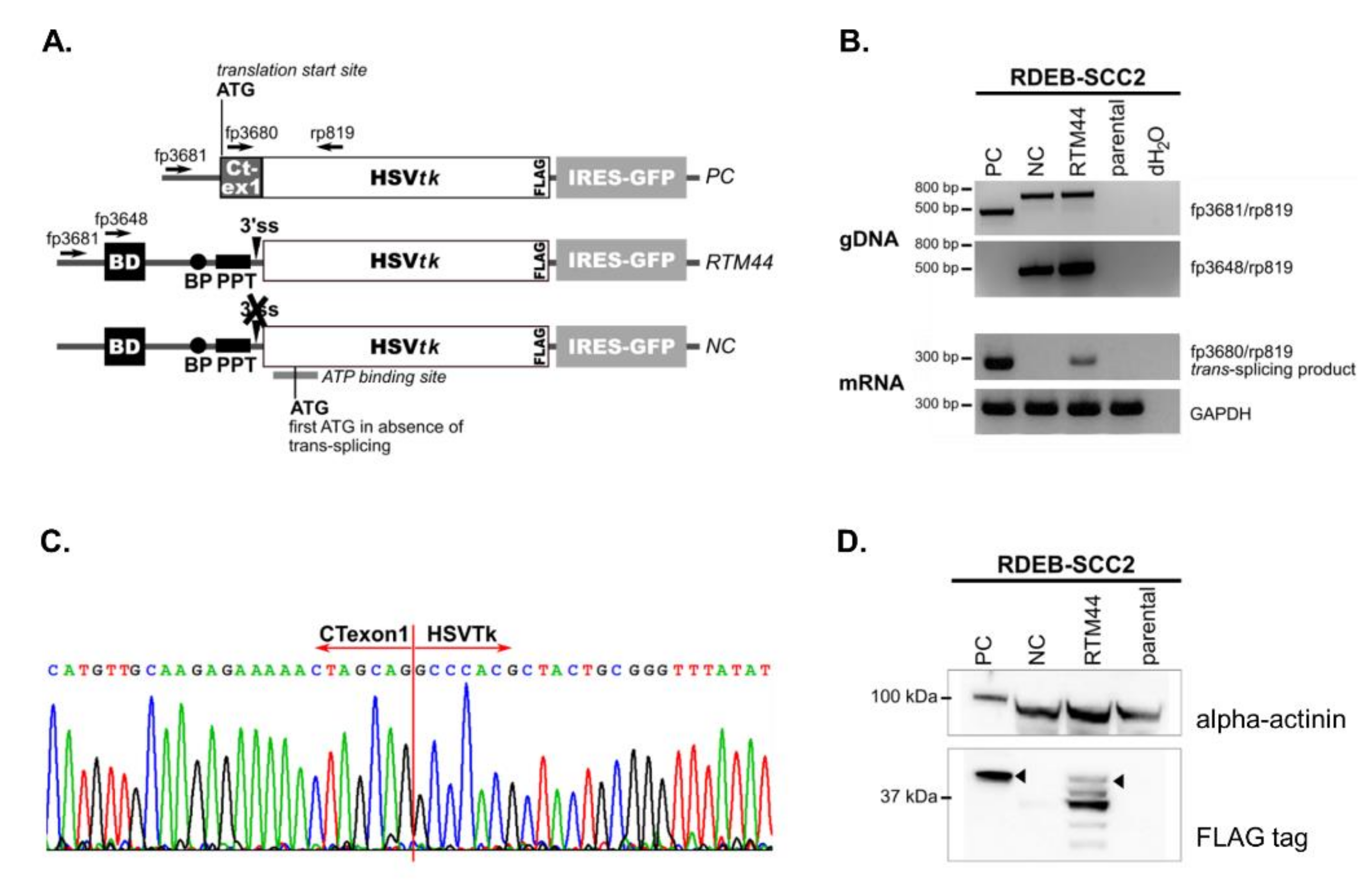 Ijms 23 00575 g002 550