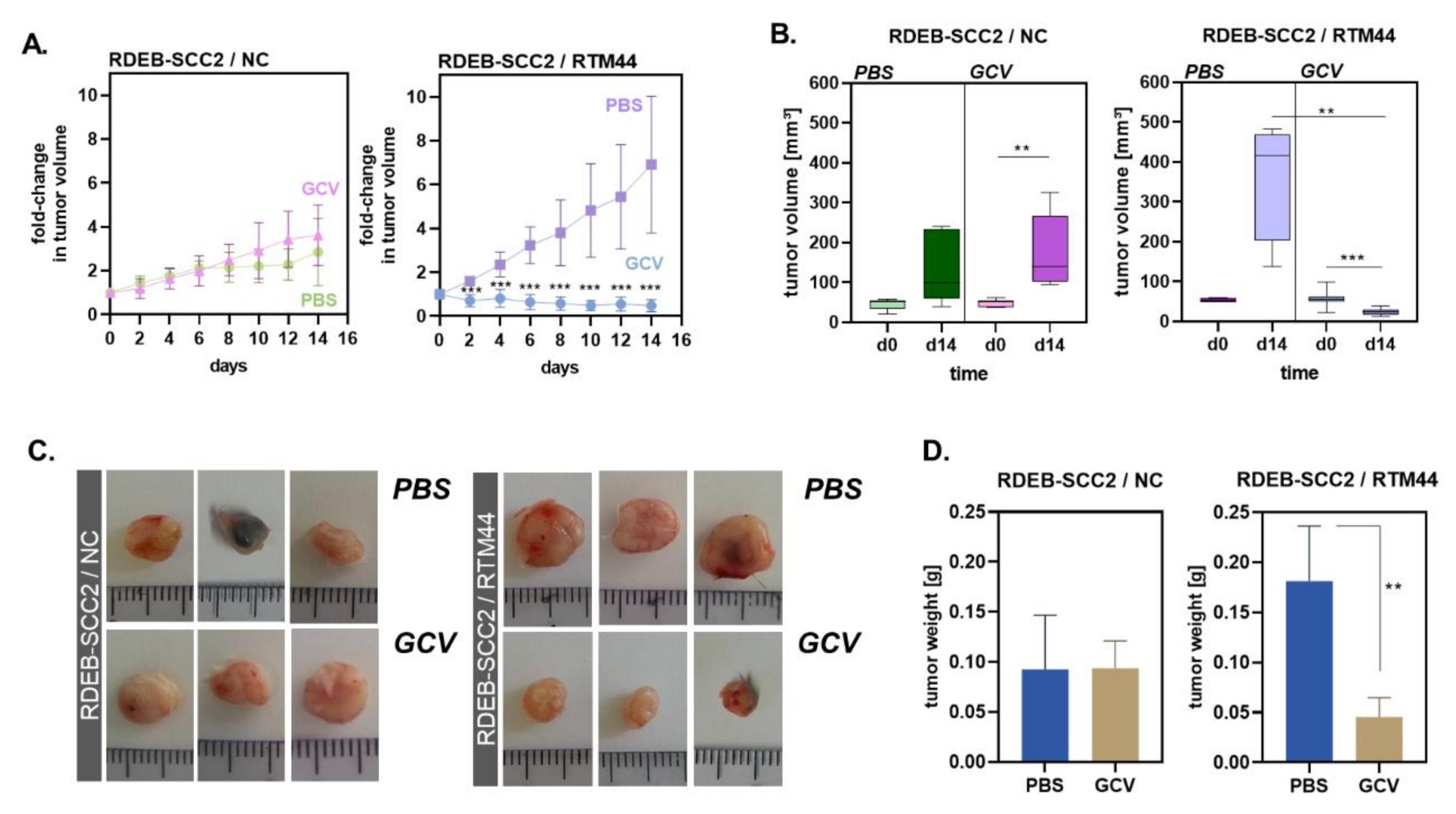 Ijms 23 00575 g004 550