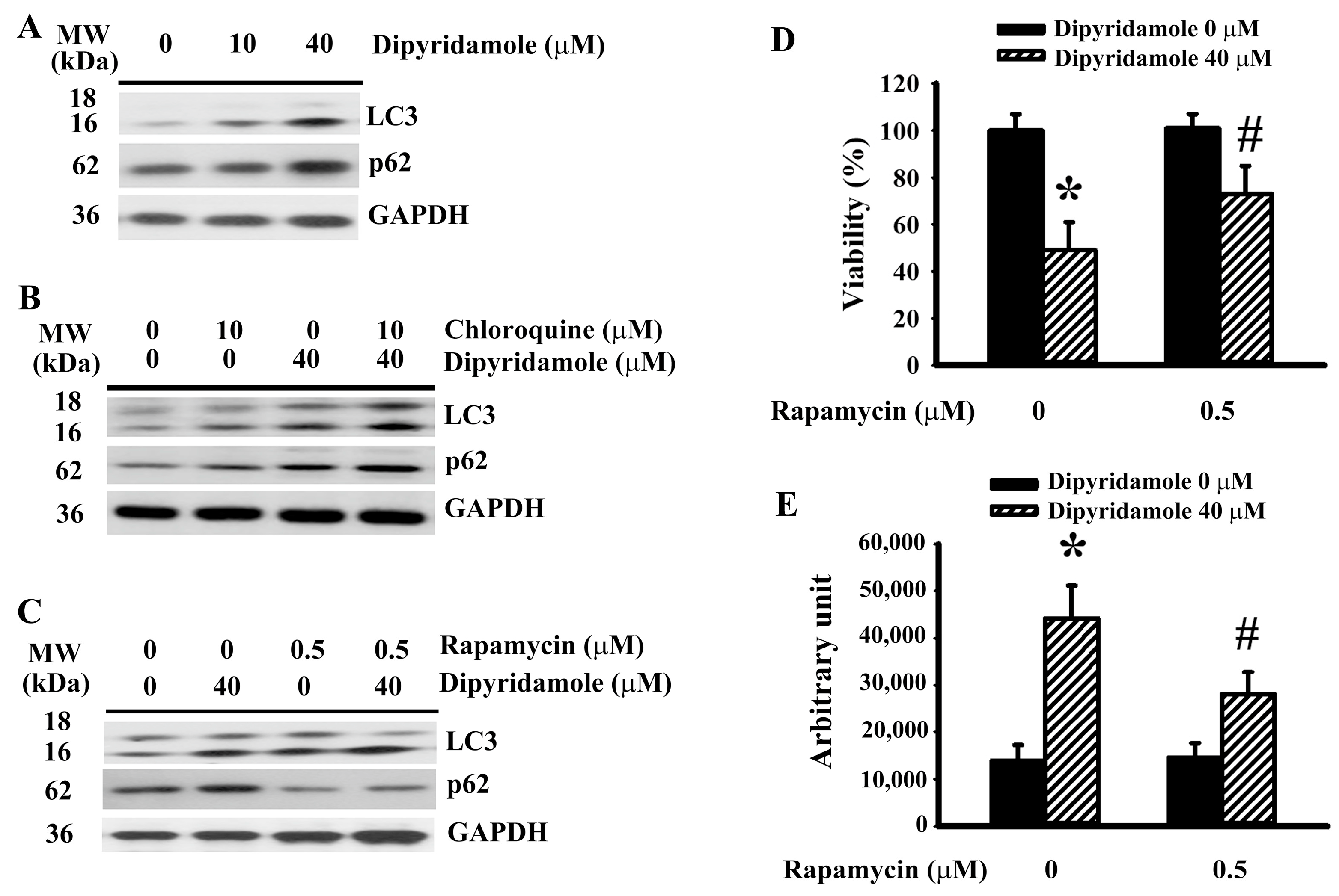 Ijms 23 00579 g004 Ijms 23 00579 g004
