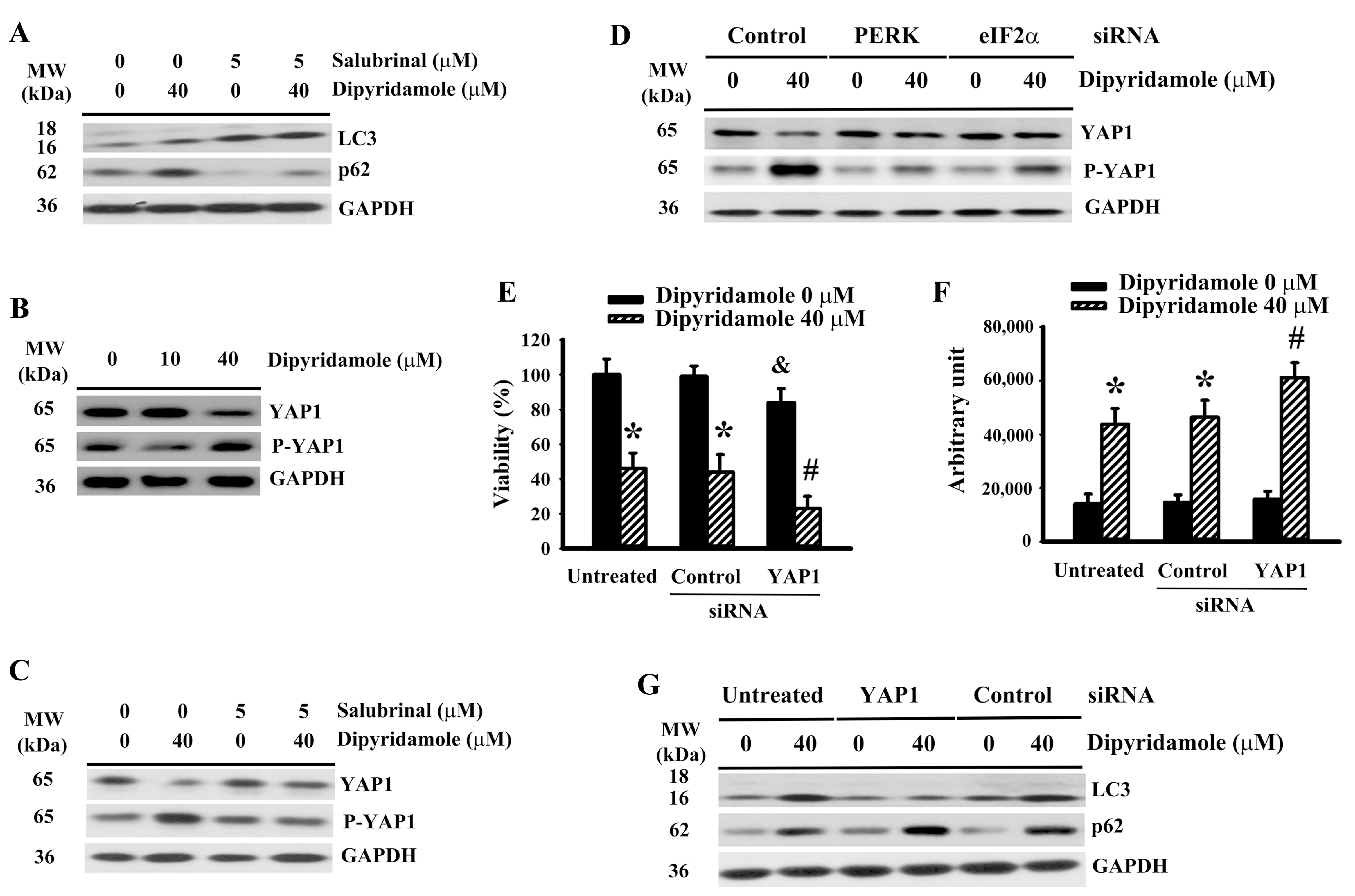 Ijms 23 00579 g005 Ijms 23 00579 g005