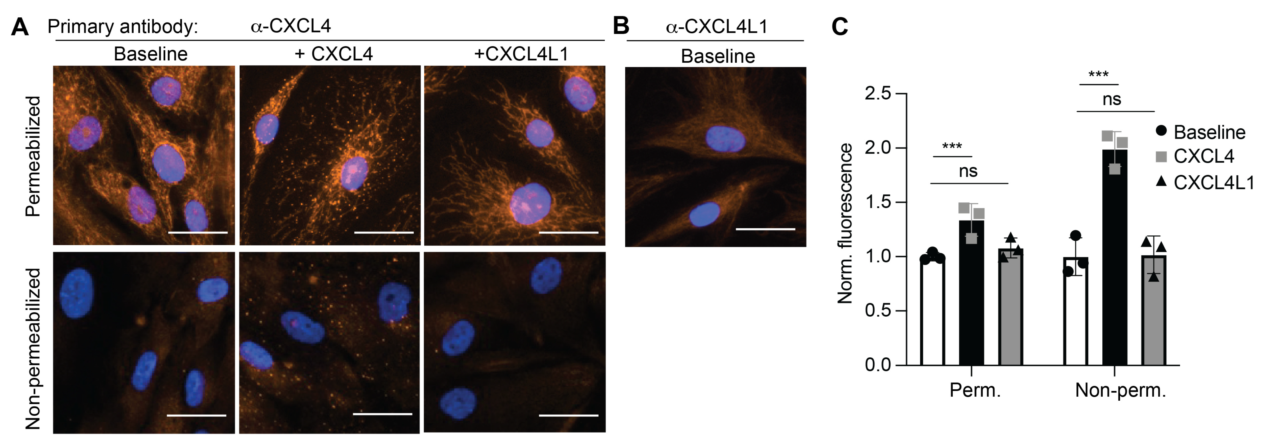 Ijms 23 00580 g001 Ijms 23 00580 g001