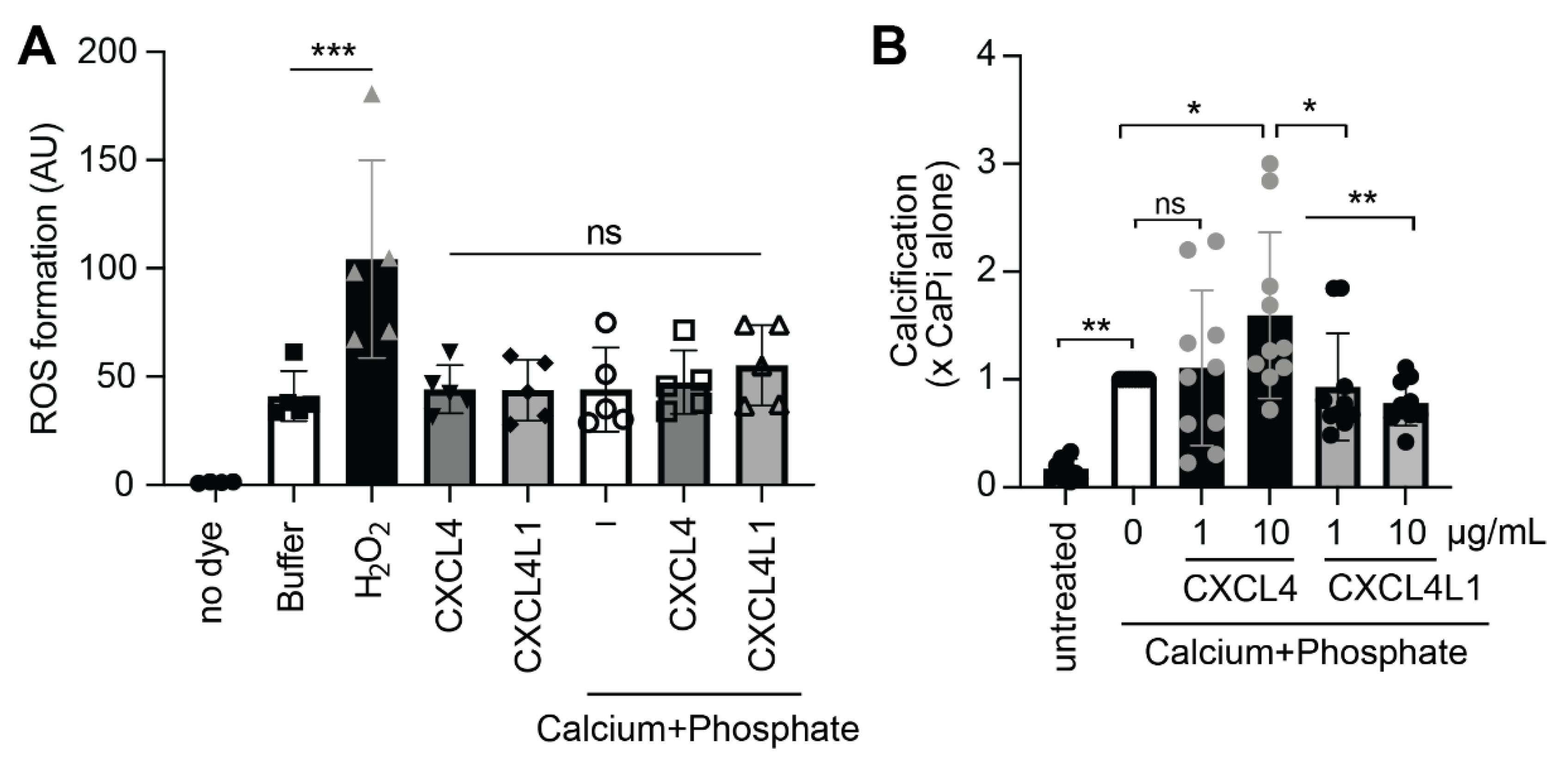Ijms 23 00580 g006 Ijms 23 00580 g006