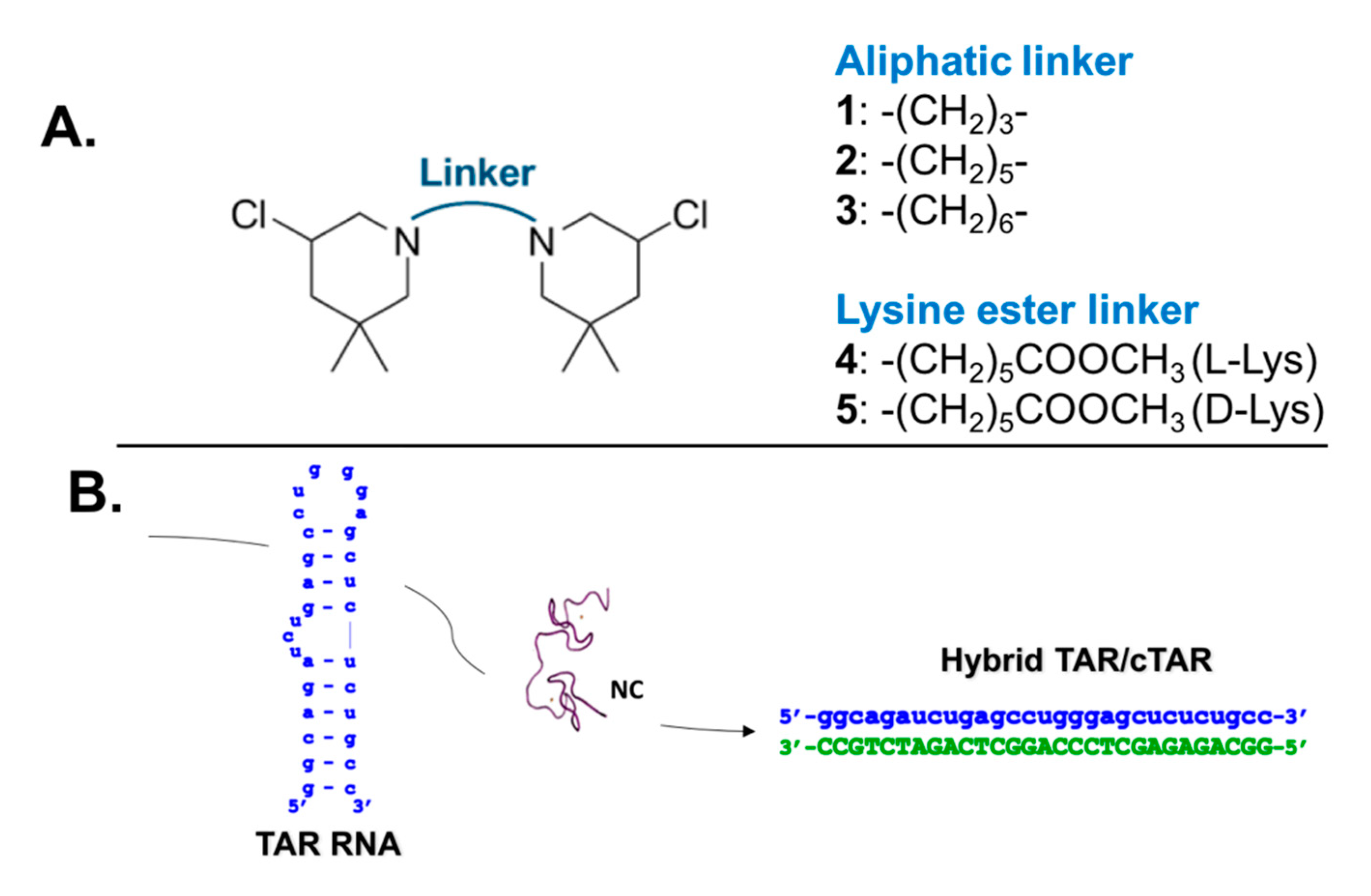 Ijms 23 00582 g001 Ijms 23 00582 g001