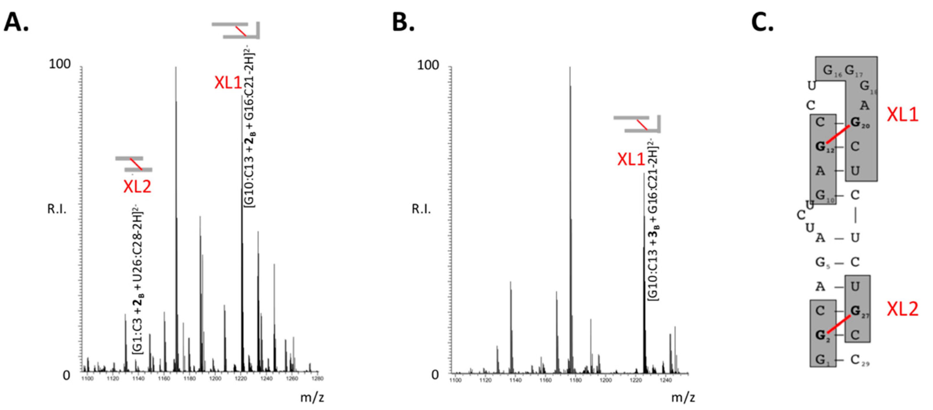 Ijms 23 00582 g004 Ijms 23 00582 g004