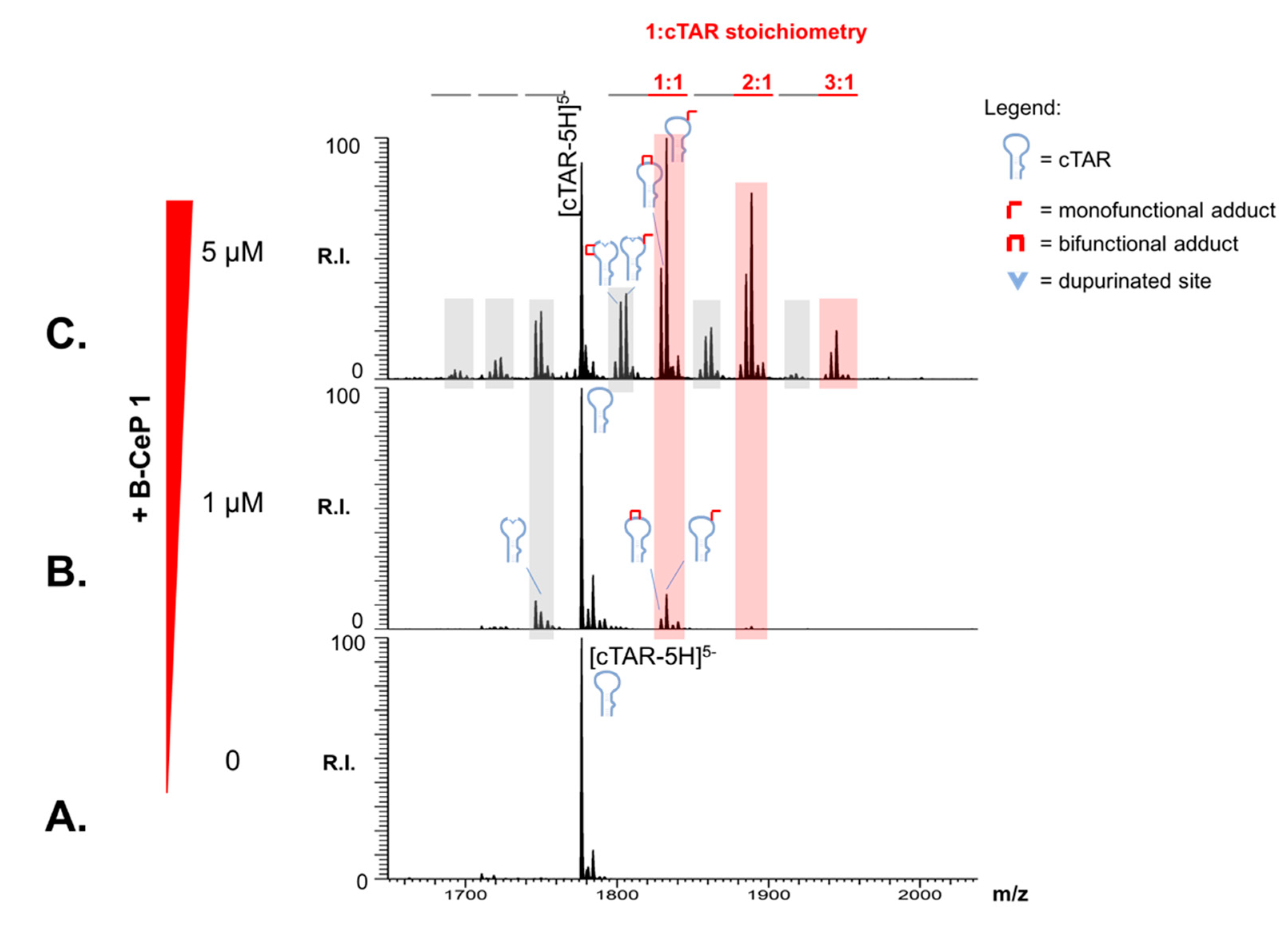 Ijms 23 00582 g006 Ijms 23 00582 g006