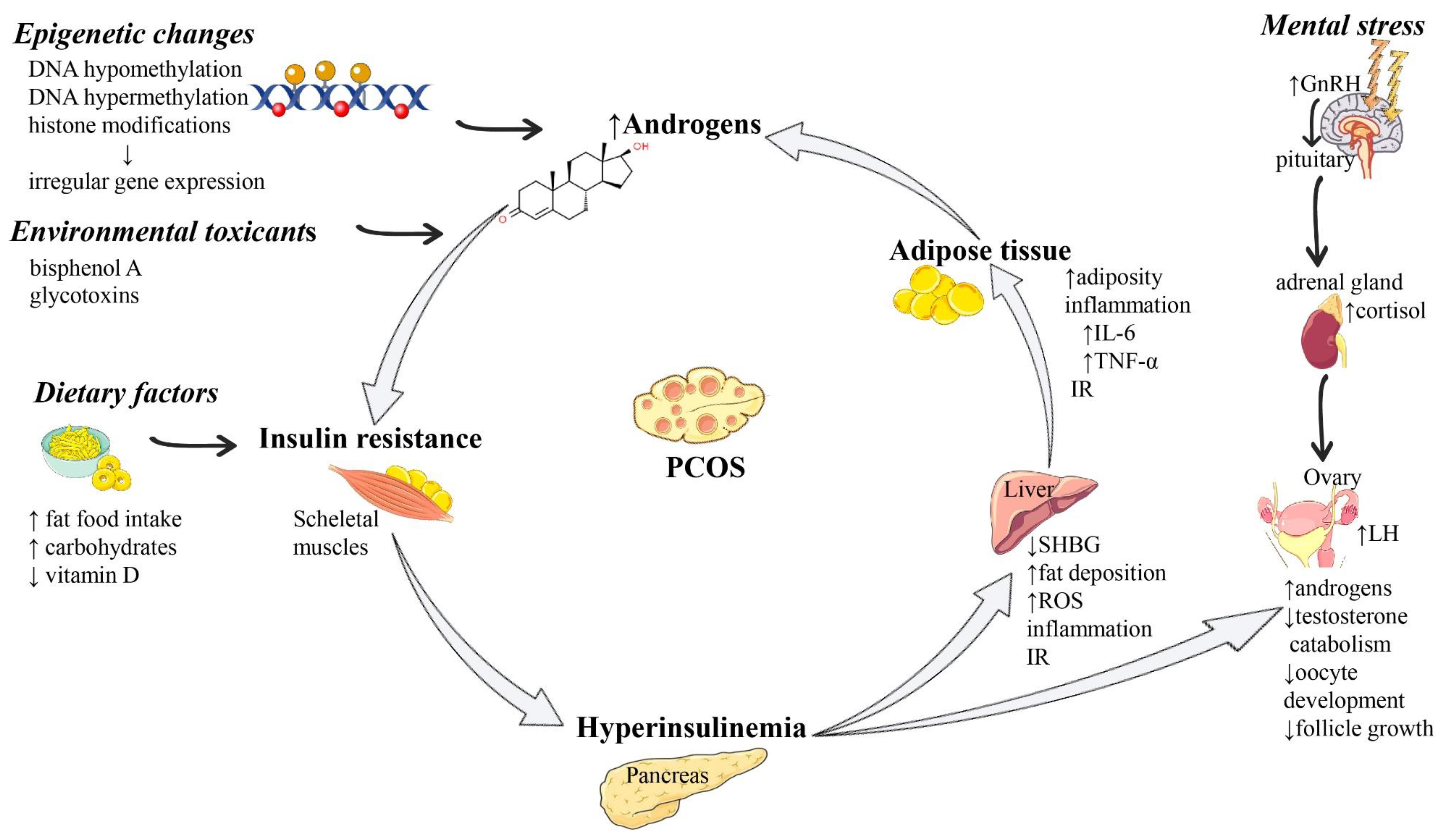 Aetiology, Diagnosis and Management of Premenstrual Syndrome