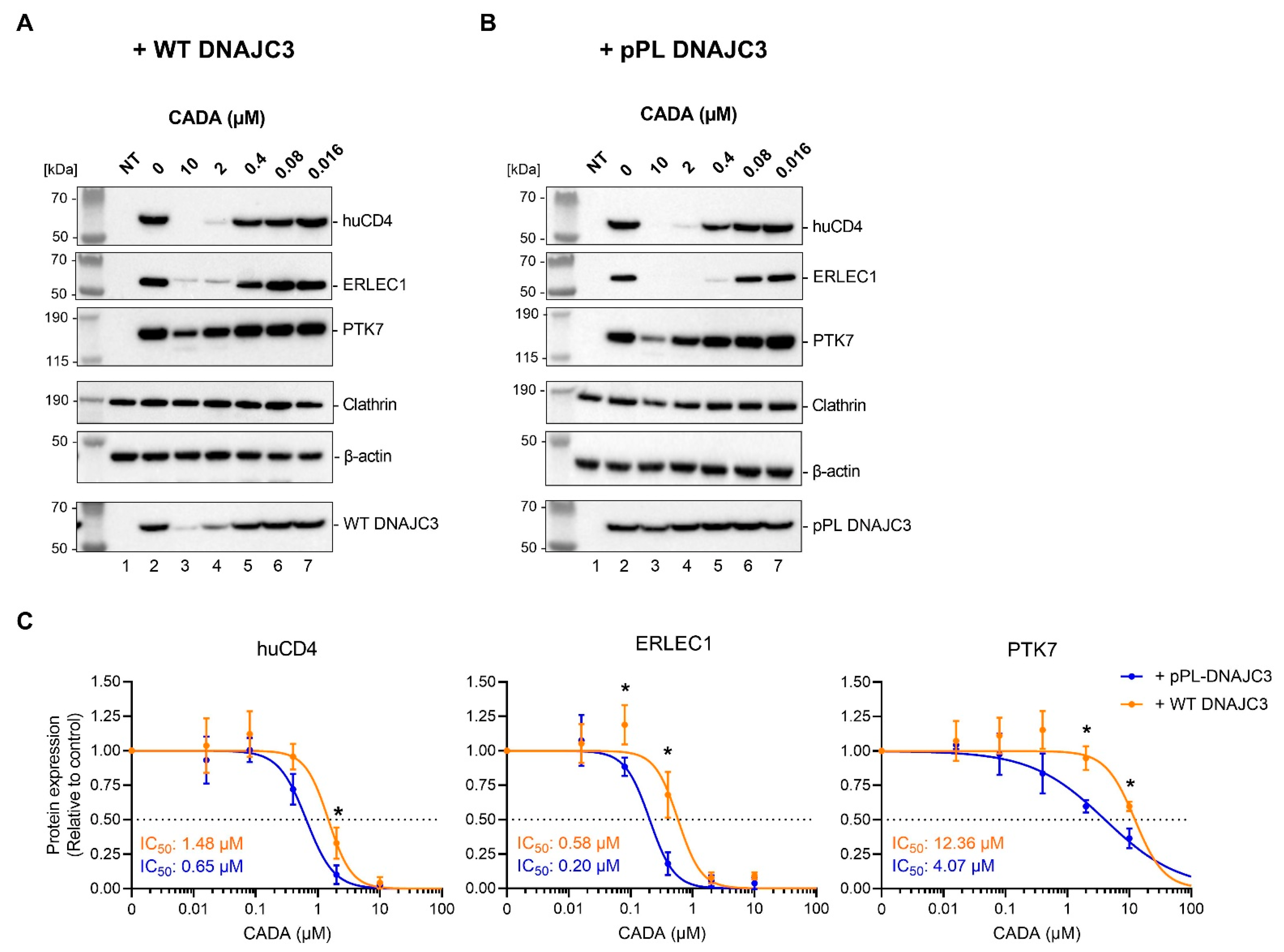 Ijms 23 00584 g003 550
