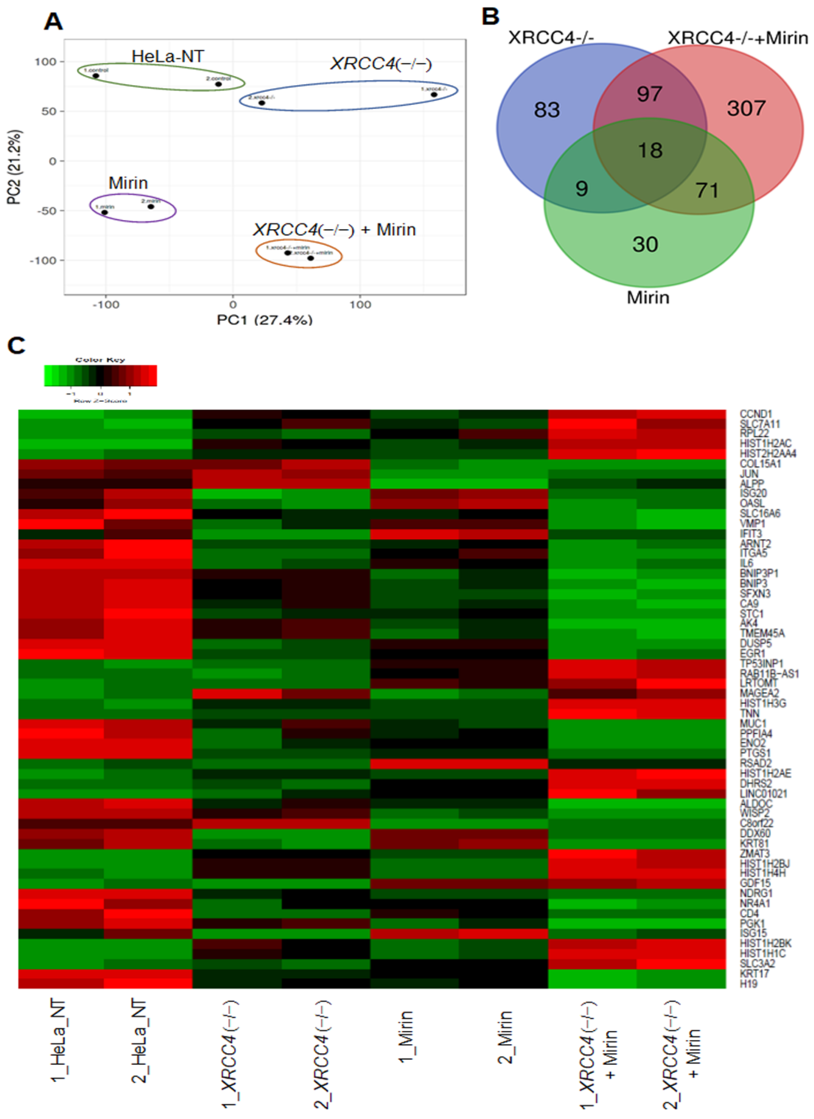 Ijms 23 00593 g005 Ijms 23 00593 g005