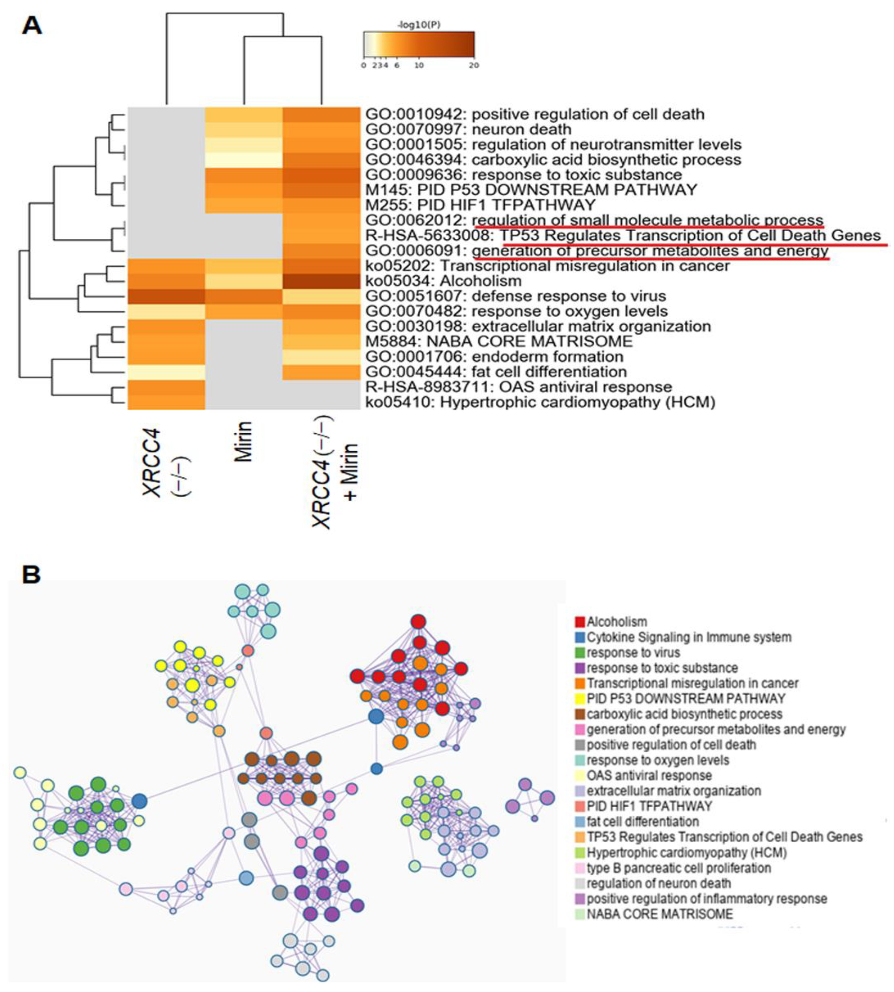 Ijms 23 00593 g006 Ijms 23 00593 g006