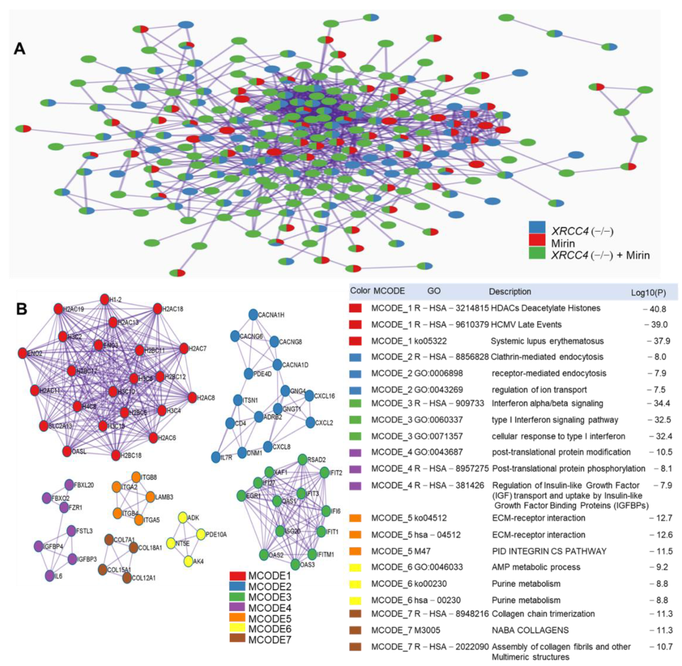 Ijms 23 00593 g007 Ijms 23 00593 g007